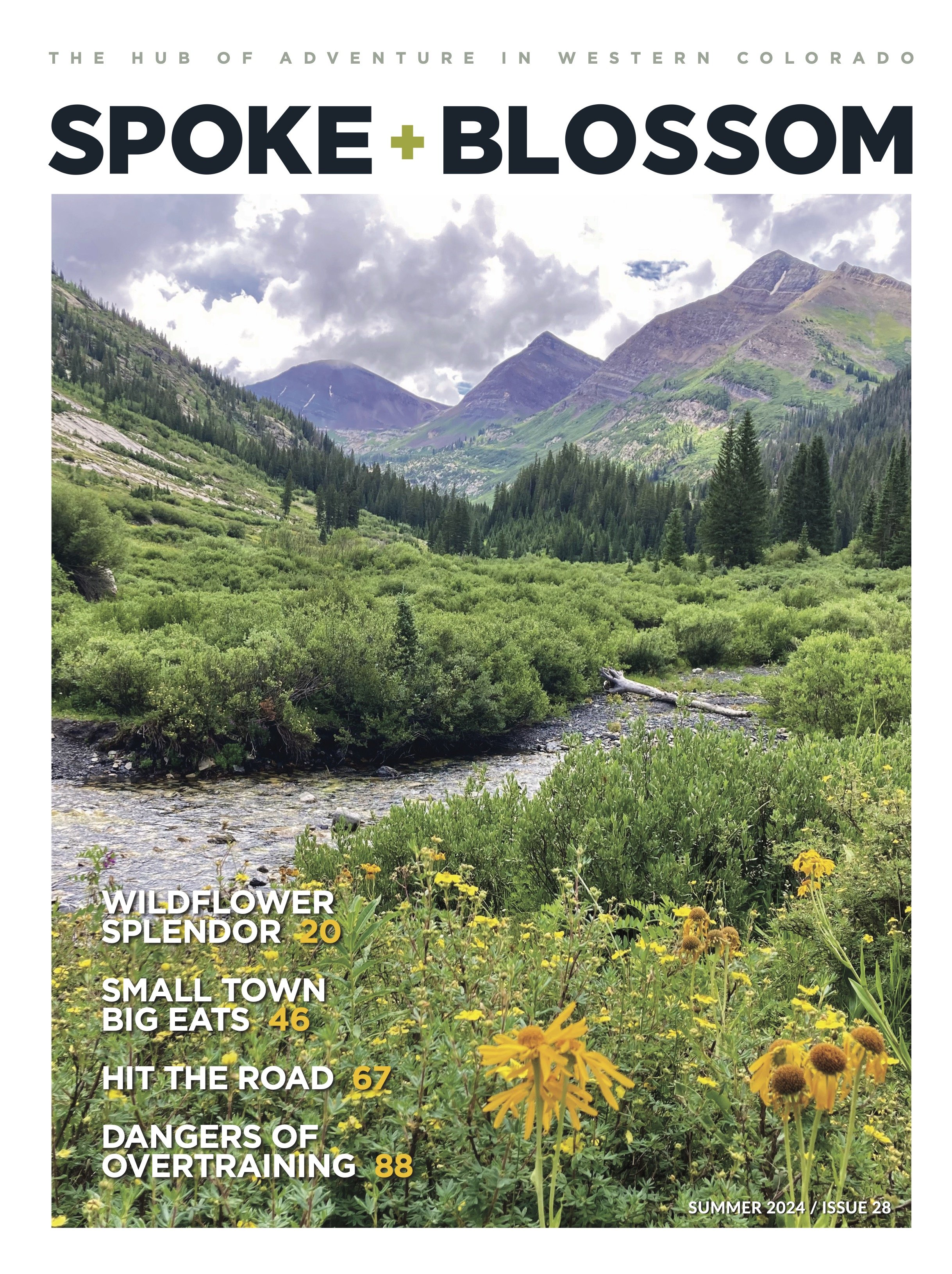 Summer 2024, Issue 28