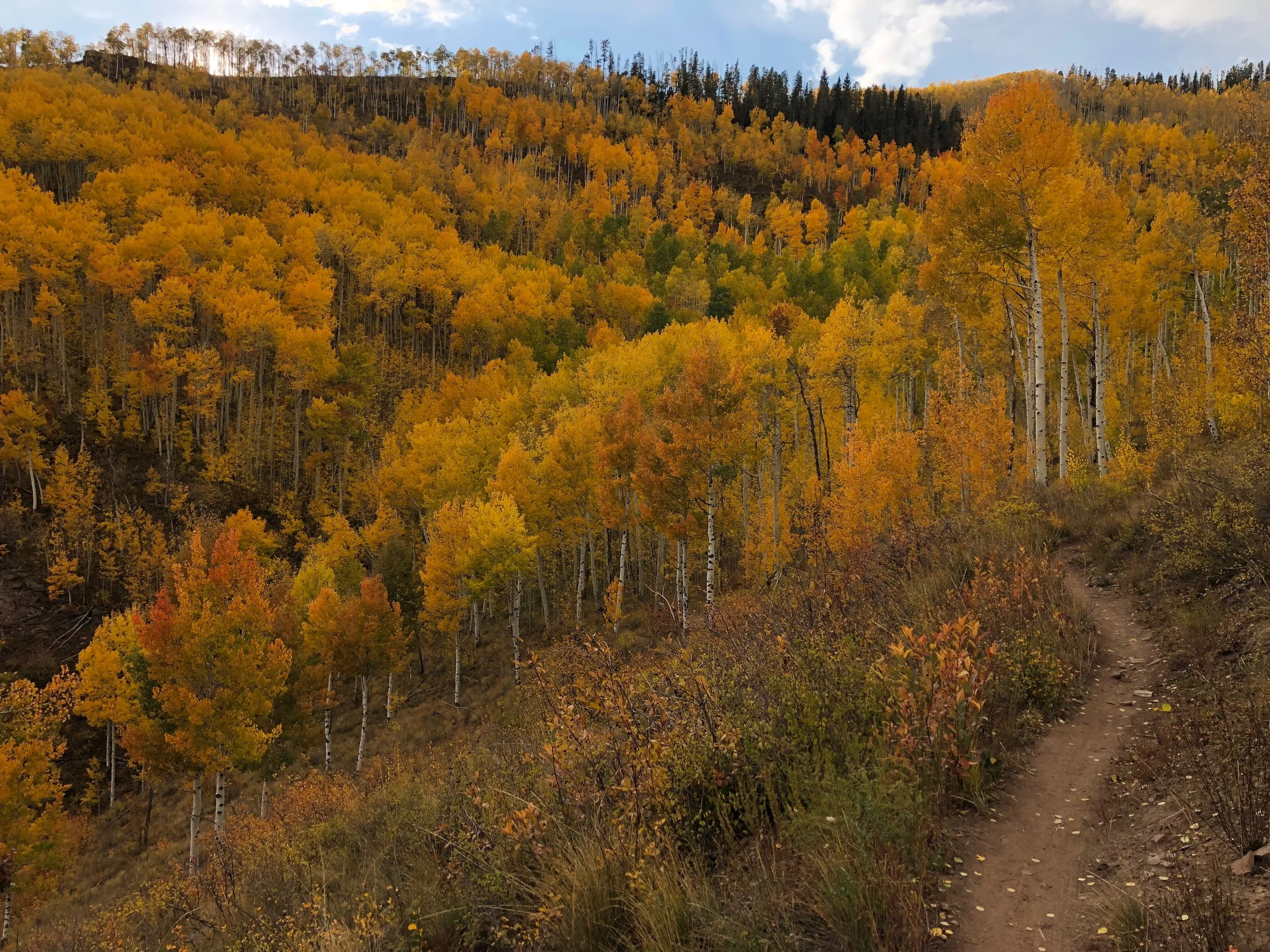 The Art Of Letting Go: The Poetry Of Autumn 