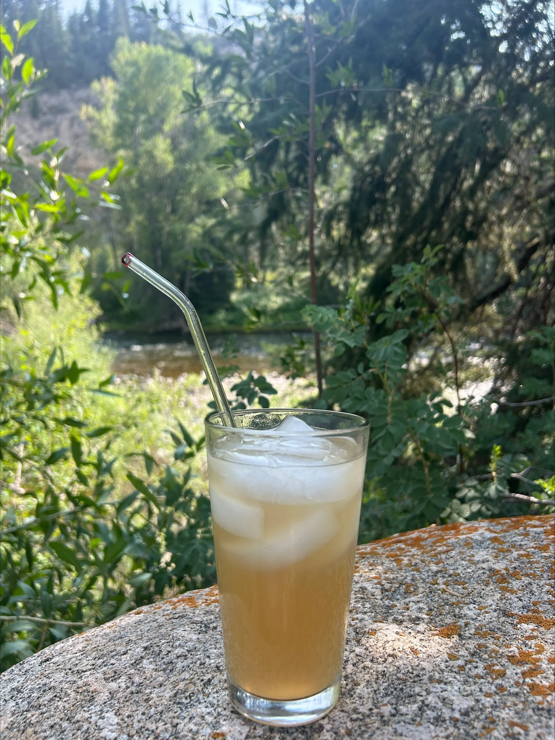 Book + Beverage For Fall 2024