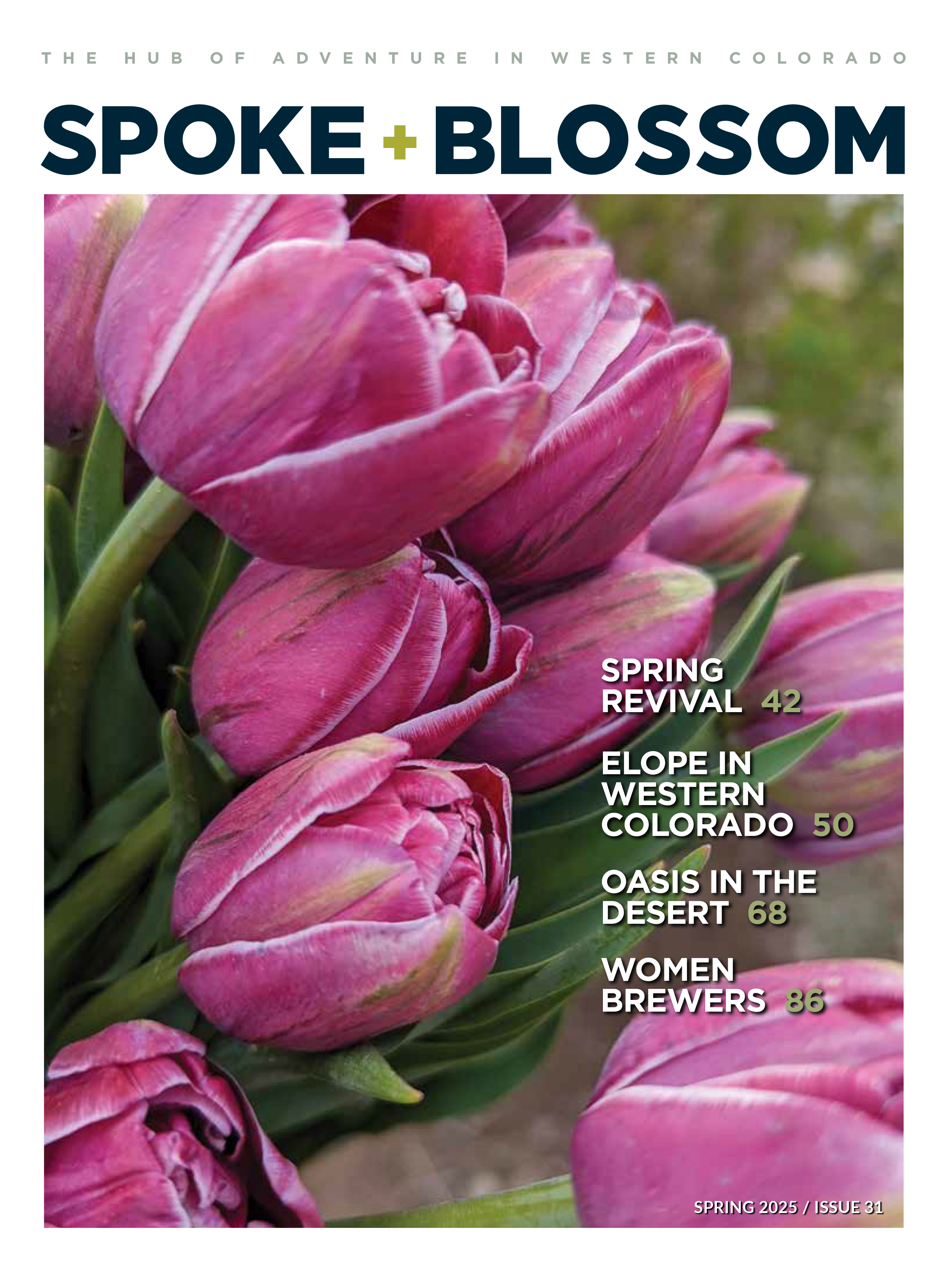 Spring 2025, Issue 31