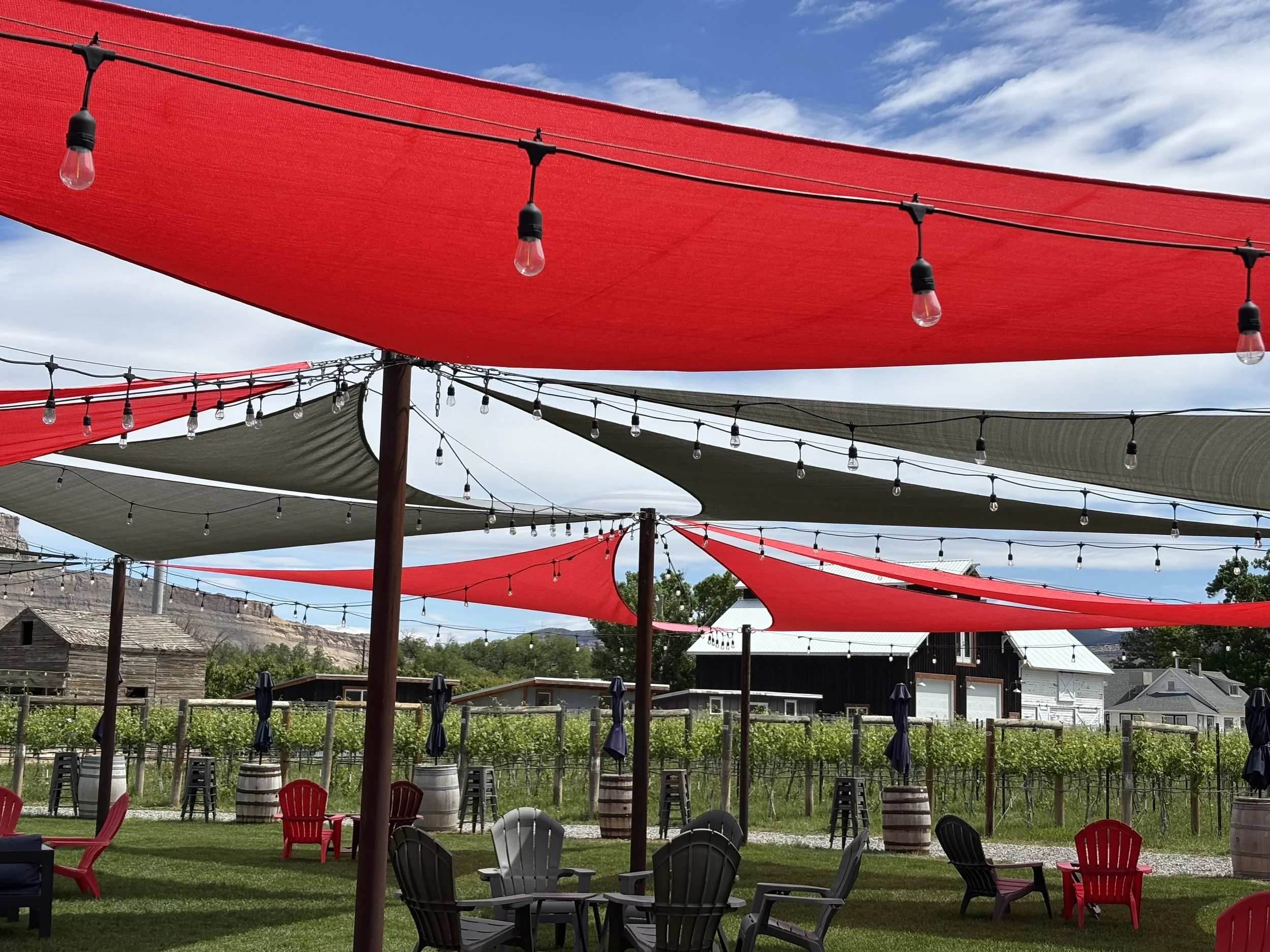 Hide + Chic: Stylish, Smart Solutions For Creating A Private Outdoor Space