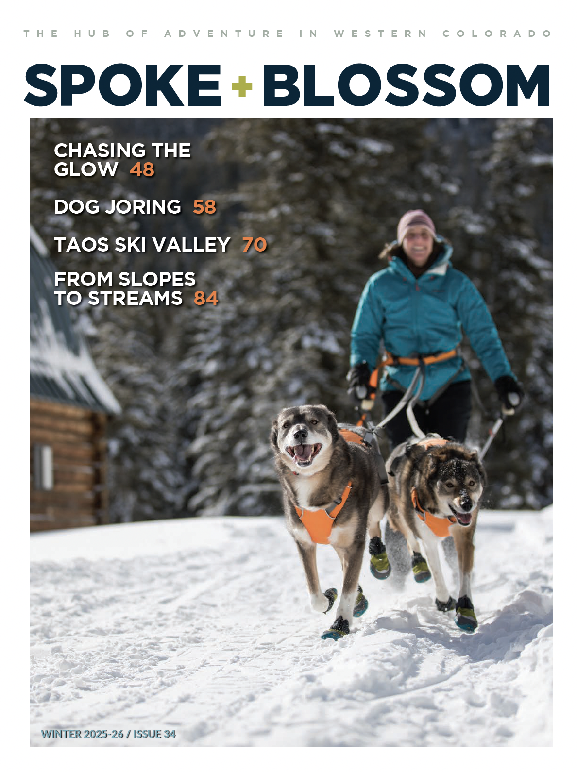 Winter 2025-26, Issue 34