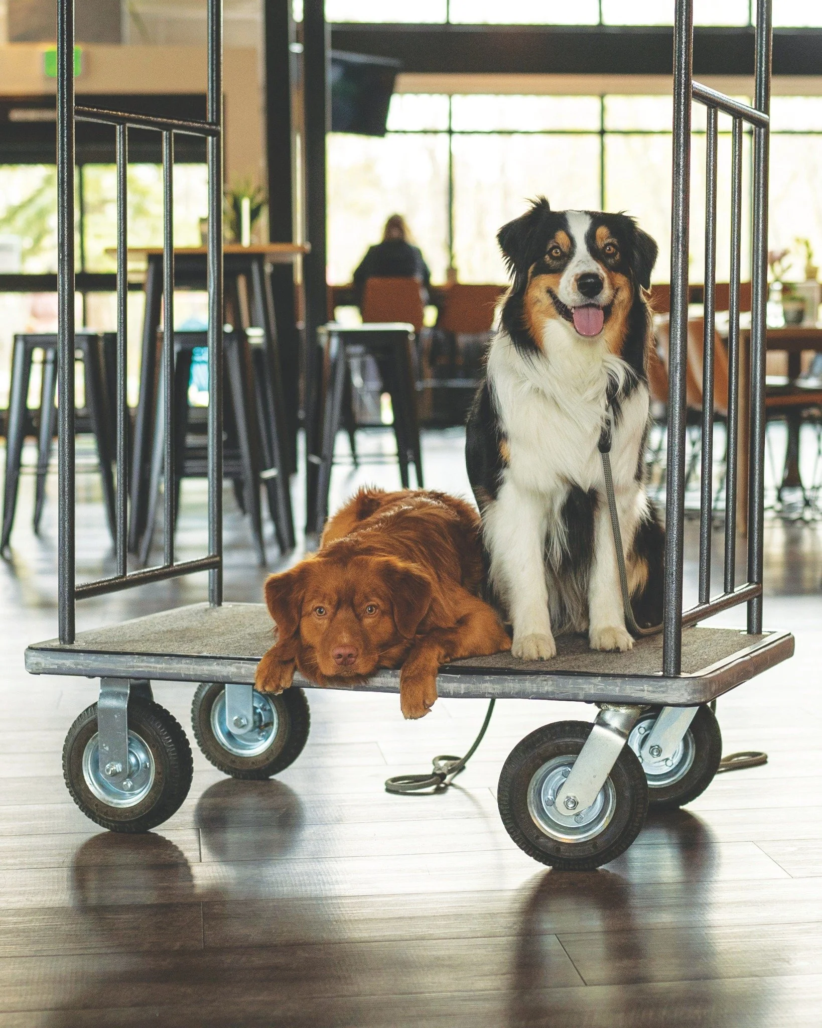 Colorado may be known for luxe mountain escapes, but its hostels tell another story &mdash; one of community, affordability and access to adventure. Whether it&rsquo;s a bonfire in Colorado Springs, a gear-ready bunk in Dolores or a rooftop soak in S