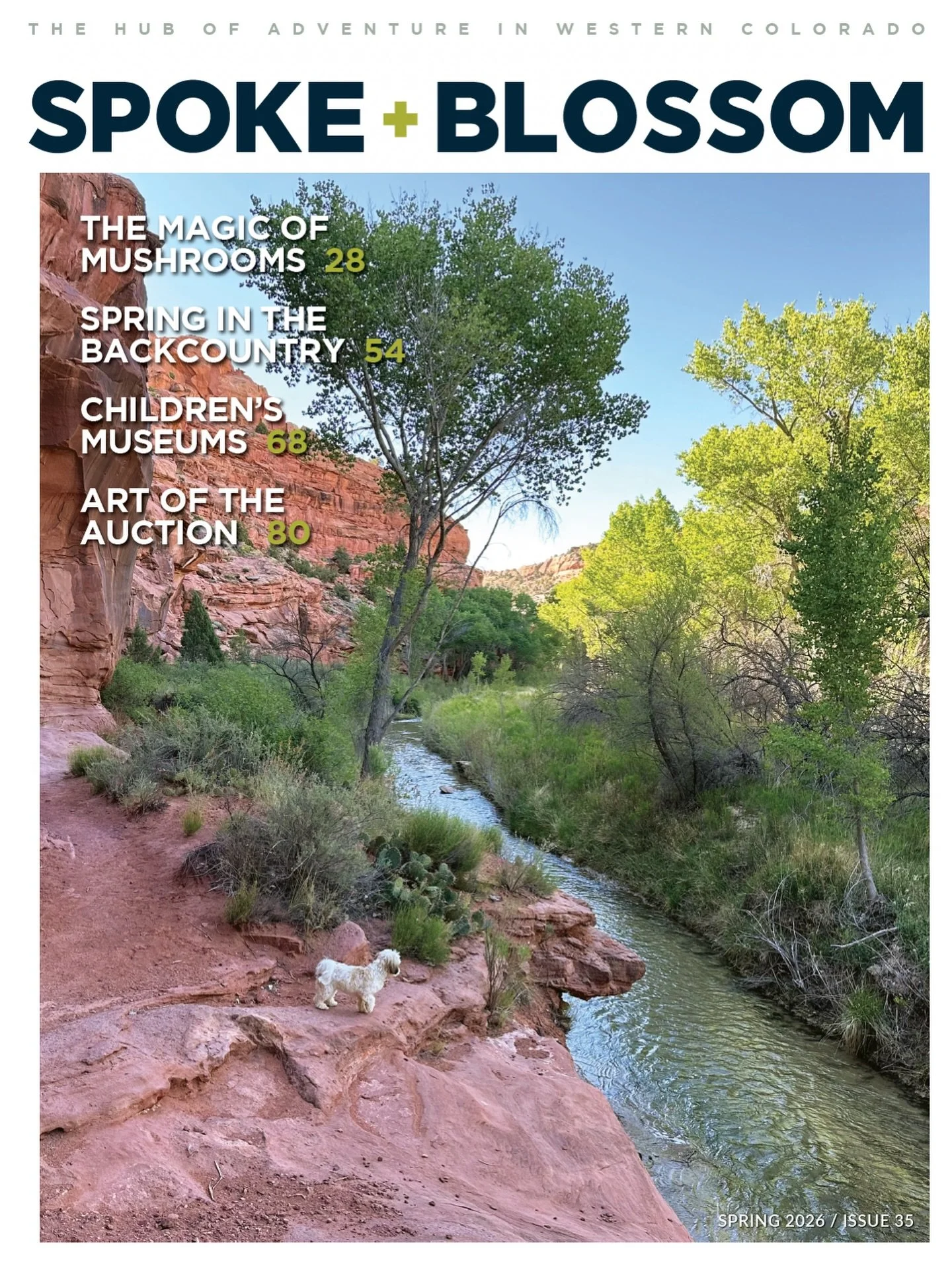 Our spring theme, CURRENT, is about the energy that moves through Western Colorado this time of year. Snowmelt becomes rivers. Trails reopen. Bikes come down from rafters. Communities step back outside.
This issue follows that momentum through gather