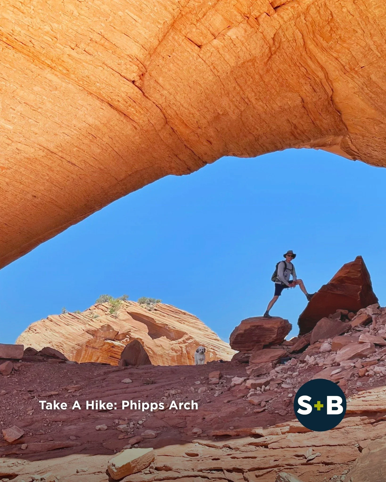 Tucked within Grand Staircase-Escalante National Monument, the hike to Phipps Arch delivers everything from slickrock scrambling to shady canyon benches and sweeping desert views. Along the way, hikers can detour to the delicate beauty of Maverick Na