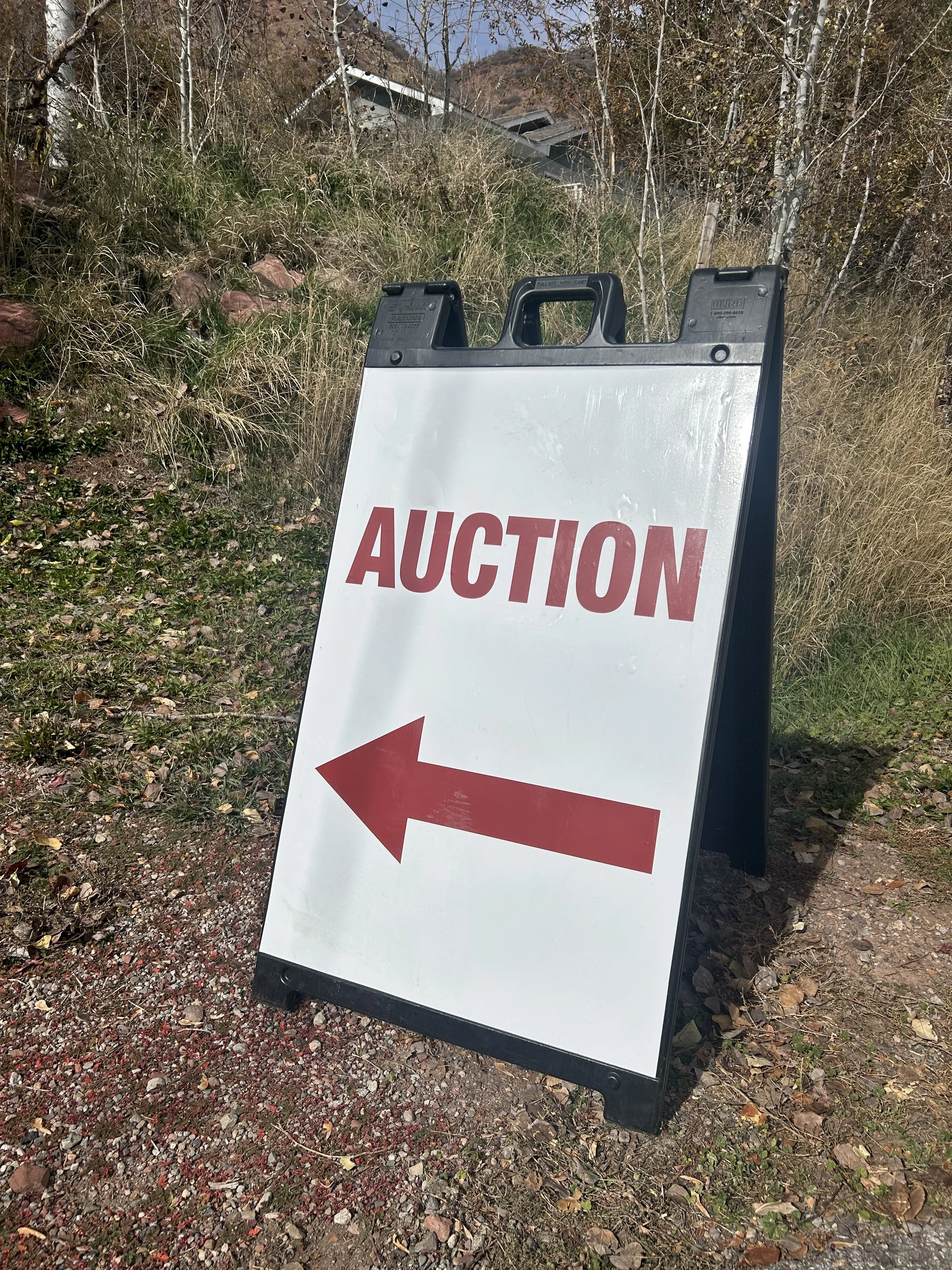 ArtoftheAuction_MarySmith_10jpeg.jpeg