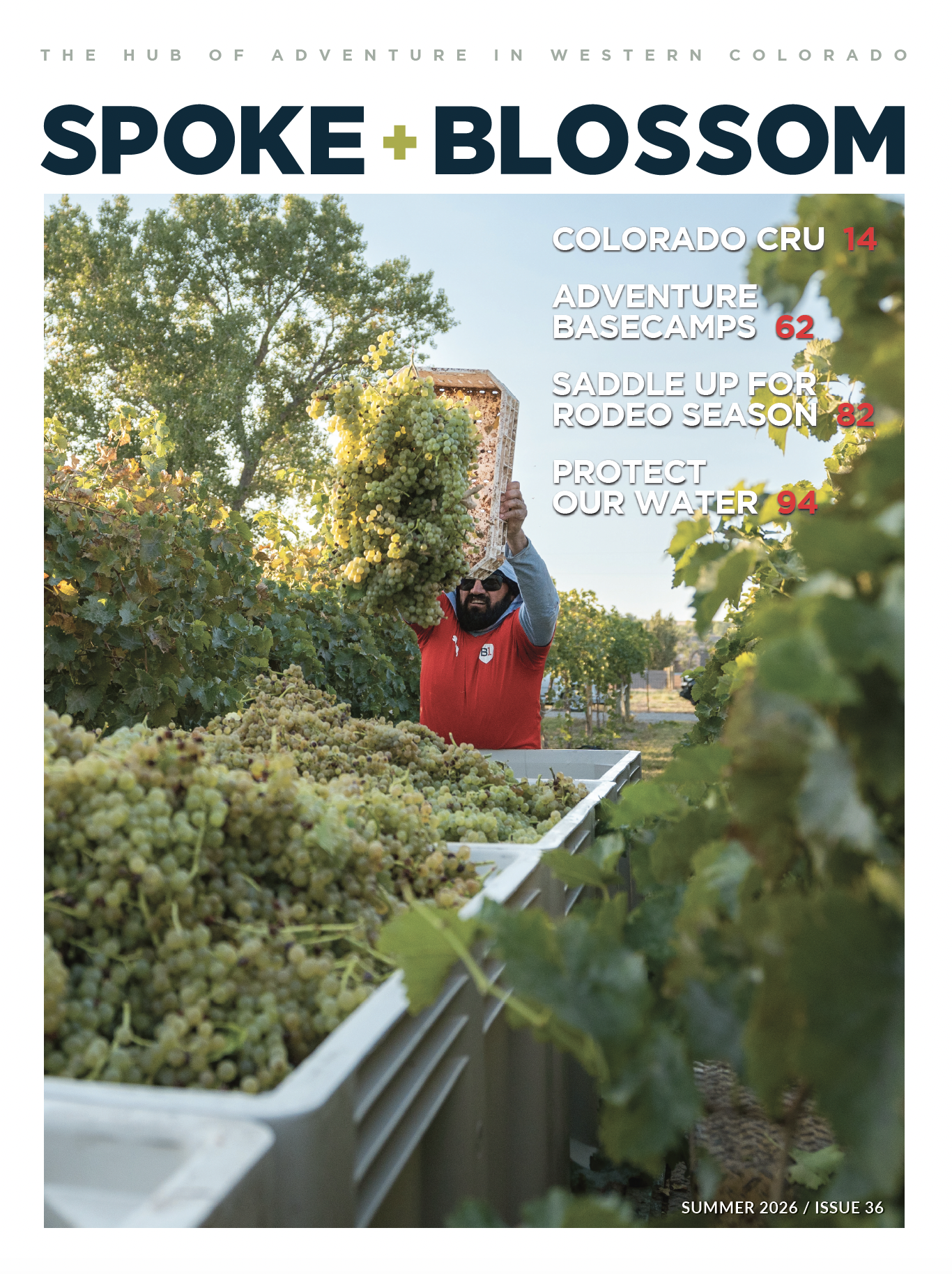 Summer 2026, Issue 36