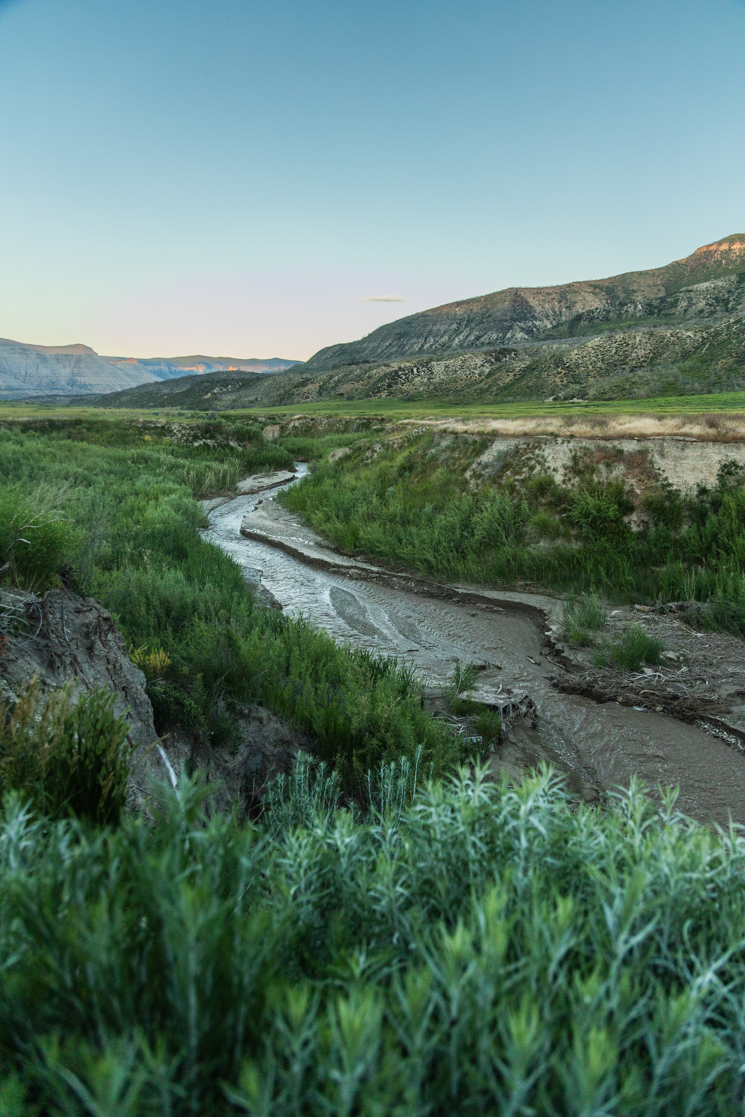 From Fire To Future: The High Lonesome Ranch And The Power Of Regeneration