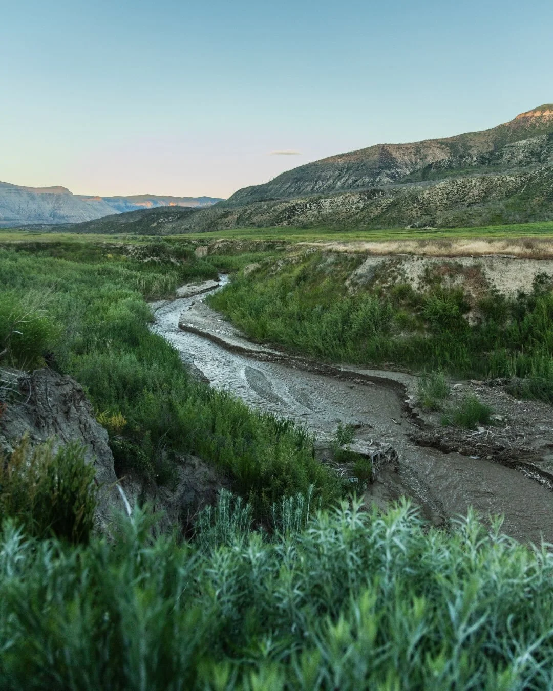 When the Pine Gulch Fire swept through the Western Slope in 2020, The High Lonesome Ranch faced a choice: be defined by the devastation, or be inspired by it. They chose regeneration. Today, the land tells a different story &mdash; native plants retu