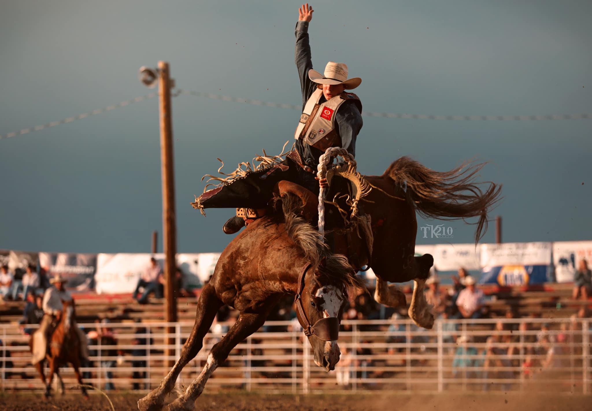 Saddle Up: Heritage At The Heart Of Western Colorado Rodeos