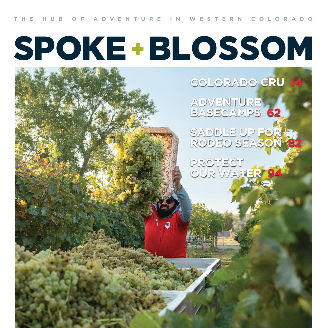 S+B ISSUE 36 / SUMMER 2026