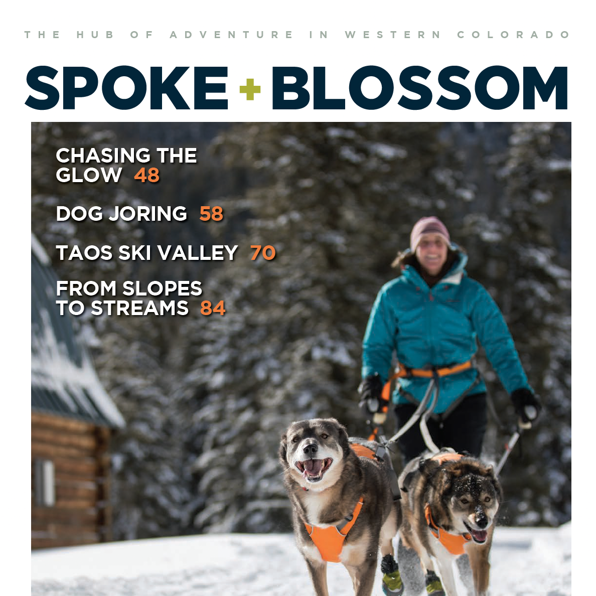 S+B ISSUE 34 / WINTER 2025-26