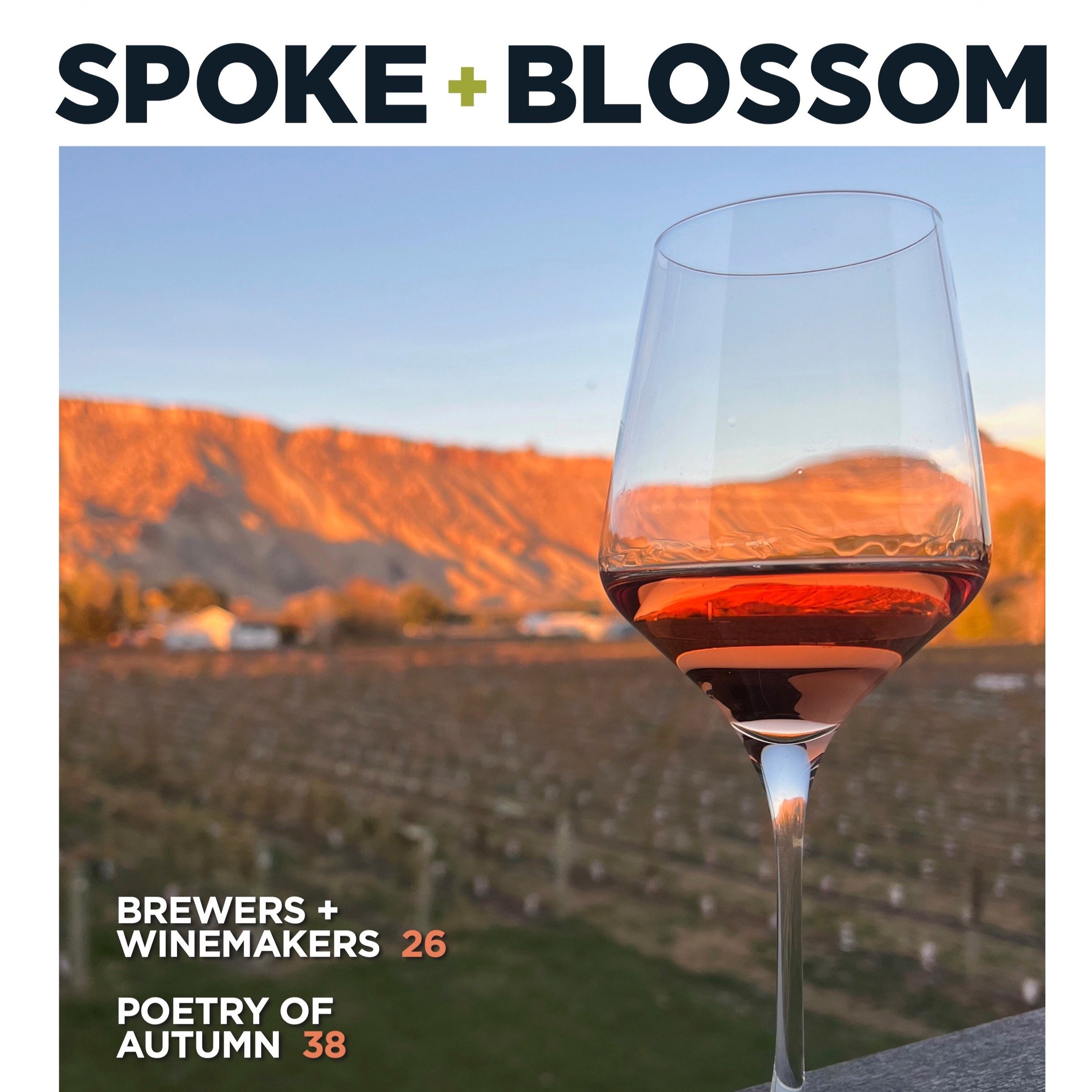 S+B ISSUE 29 / FALL 2024