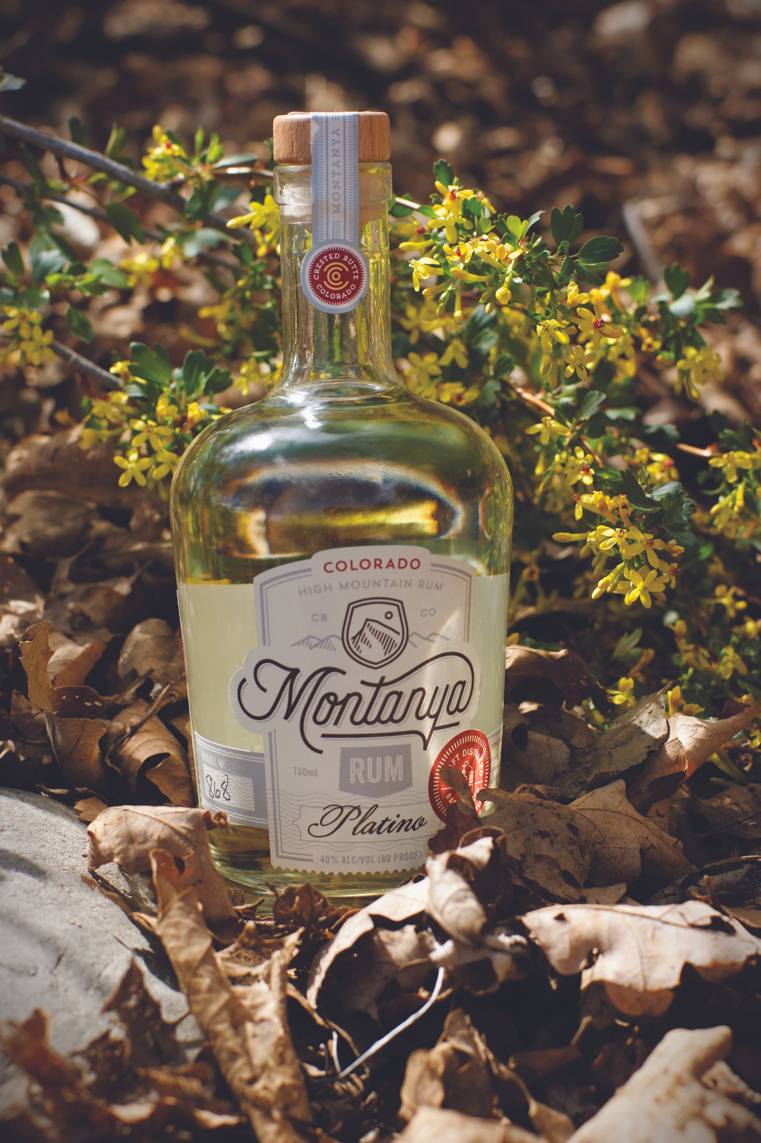 Montanya Distillers Is Raising The Bar For Craft Rum — Taste Of The Caribbean In Crested Butte