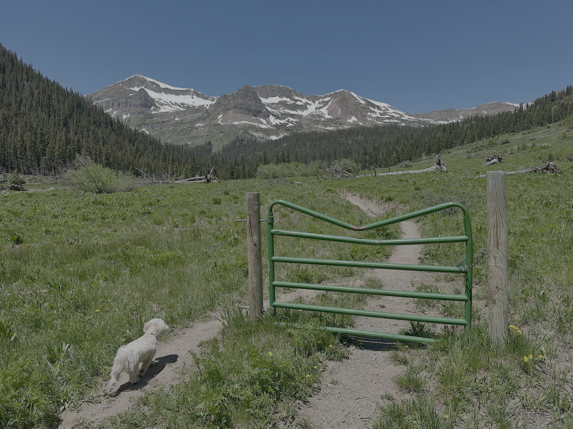 Oh-Be-Joyful Trail