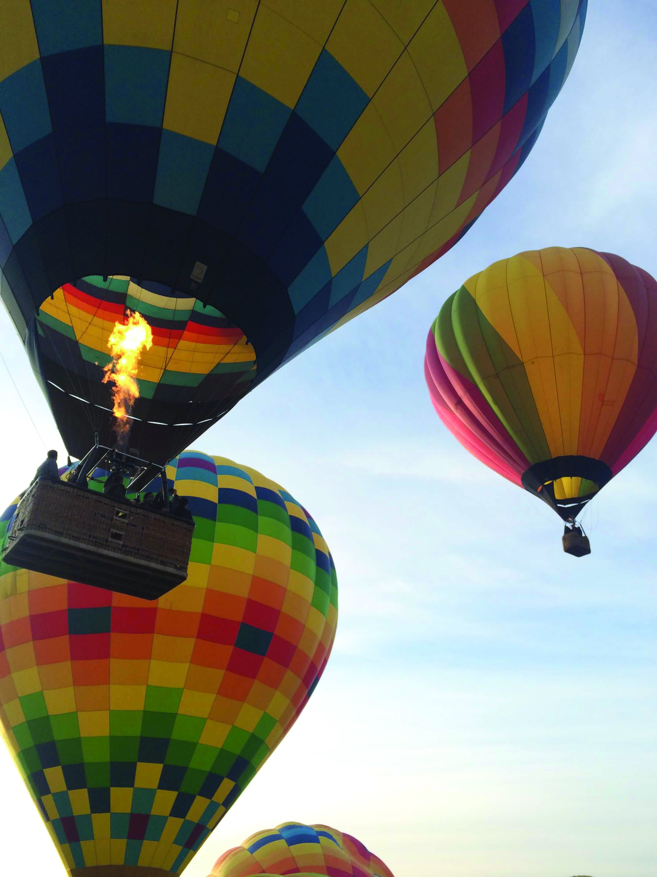 Soar Above Your Own Backyard: Hot Air Ballooning In Western Colorado