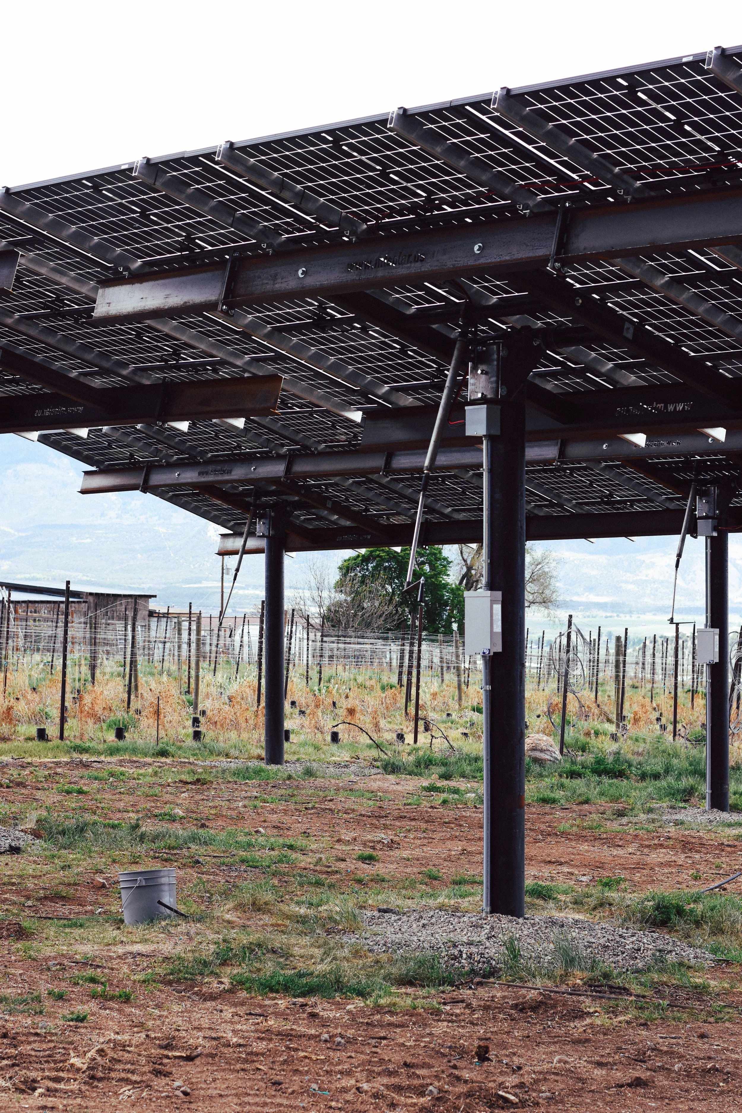A Solar Shift At The Storm Cellar Is Proving That The Future Of Farming Runs On Sunlight