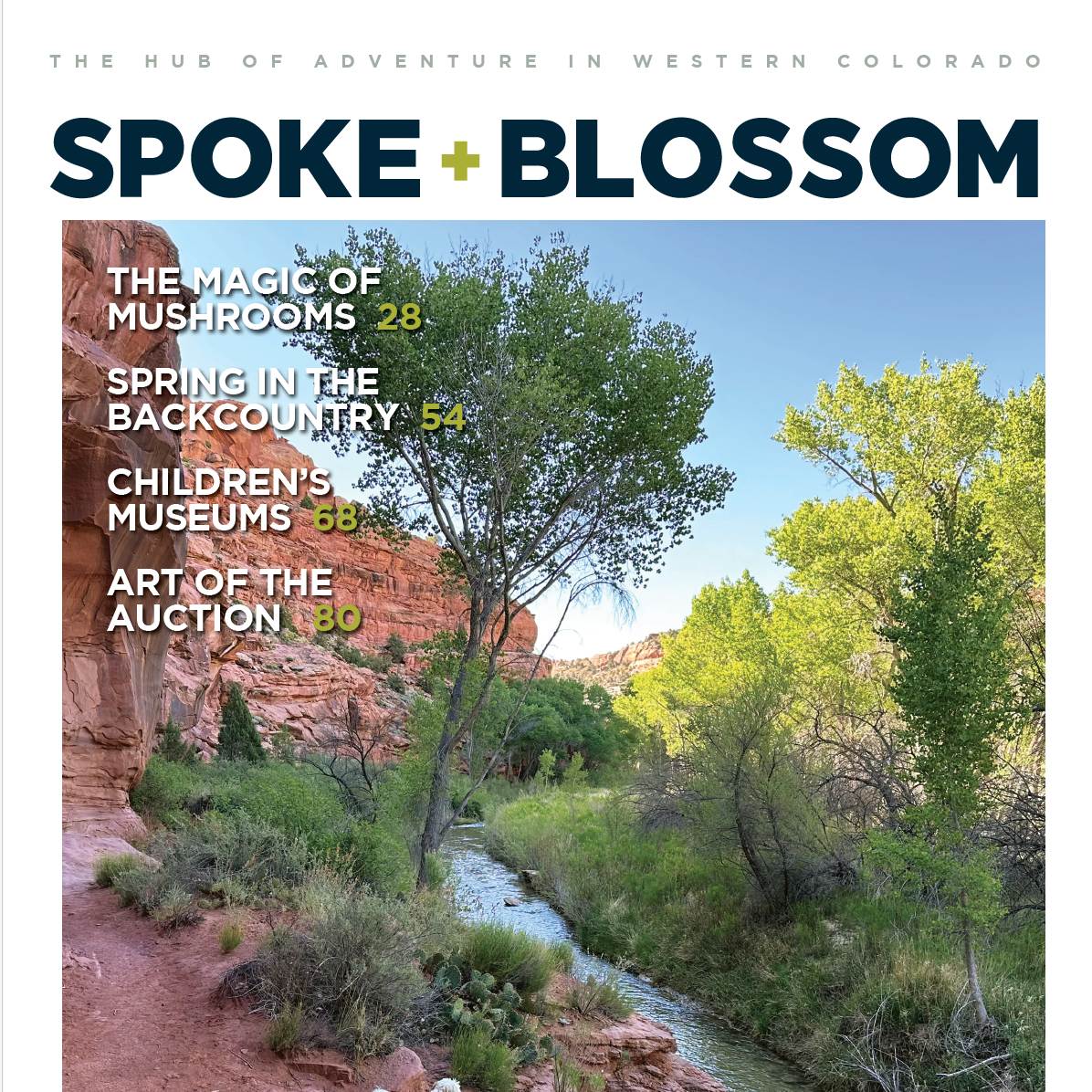 S+B ISSUE 35 / SPRING 2026