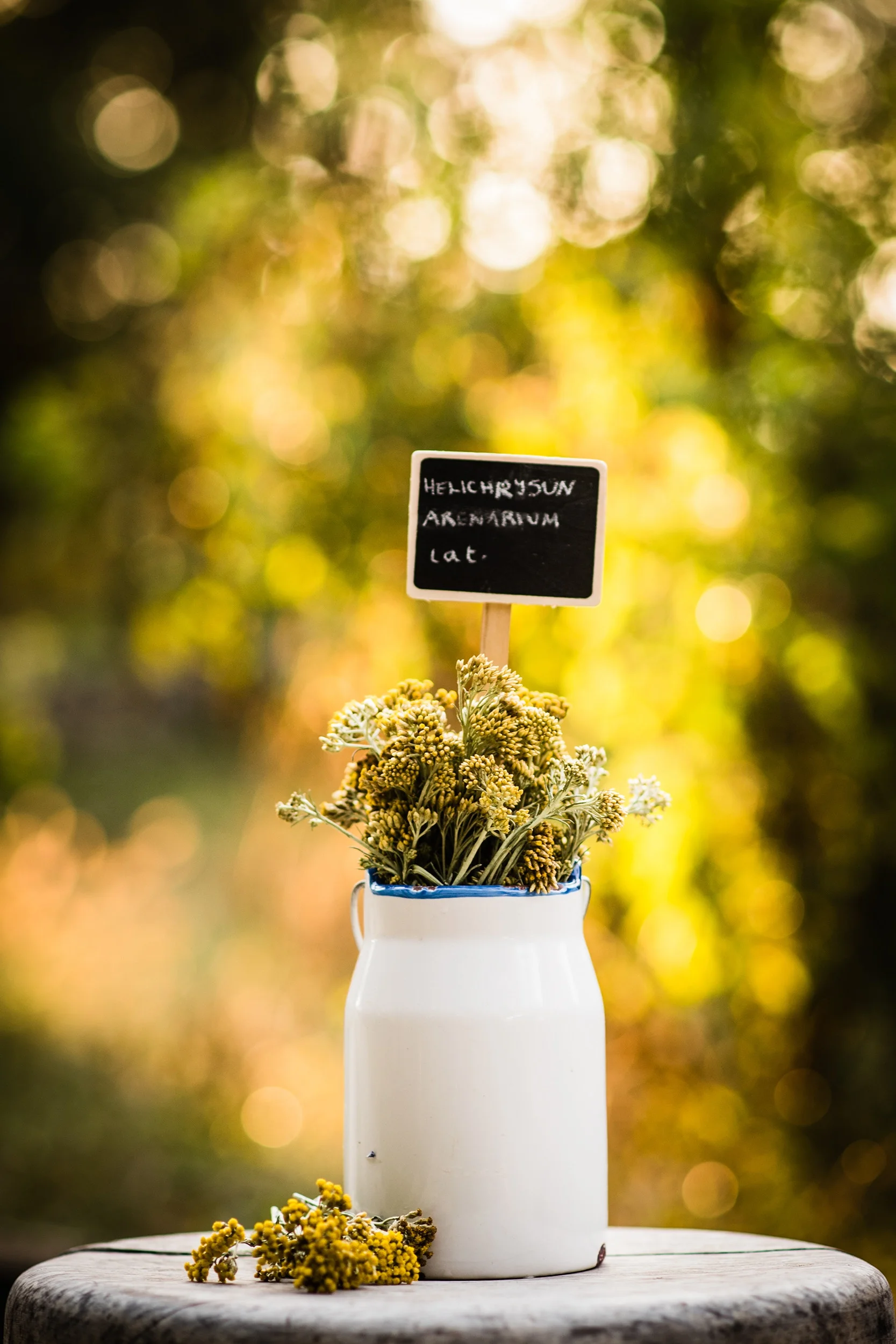 Adding Essential Oils To Your Beauty Routine