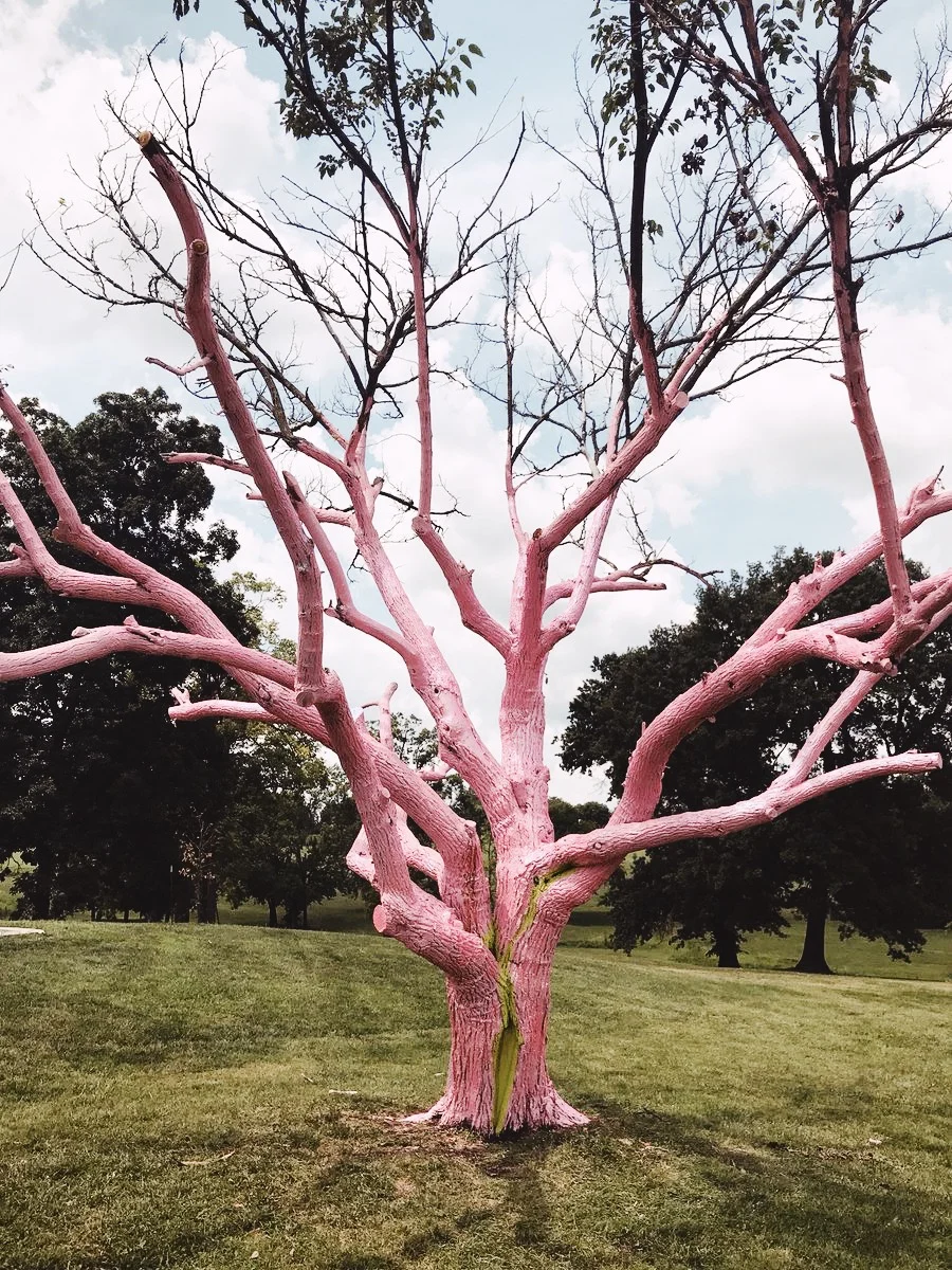 Are You The Wood Type?