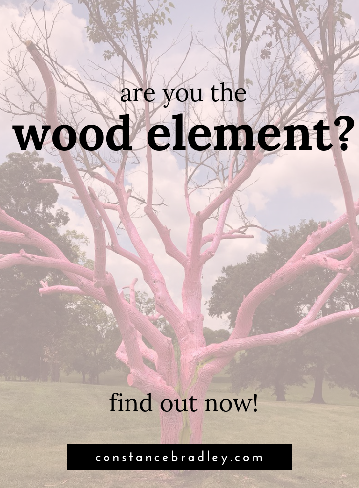 We will close out our deep dive into Chinese five element theory with a look at what it means when someone is governed by the Wood element (not sure which element governs you? Check out THIS post) When someone is governed by Wood, they are strongly influenced by goals, motivation, and action.