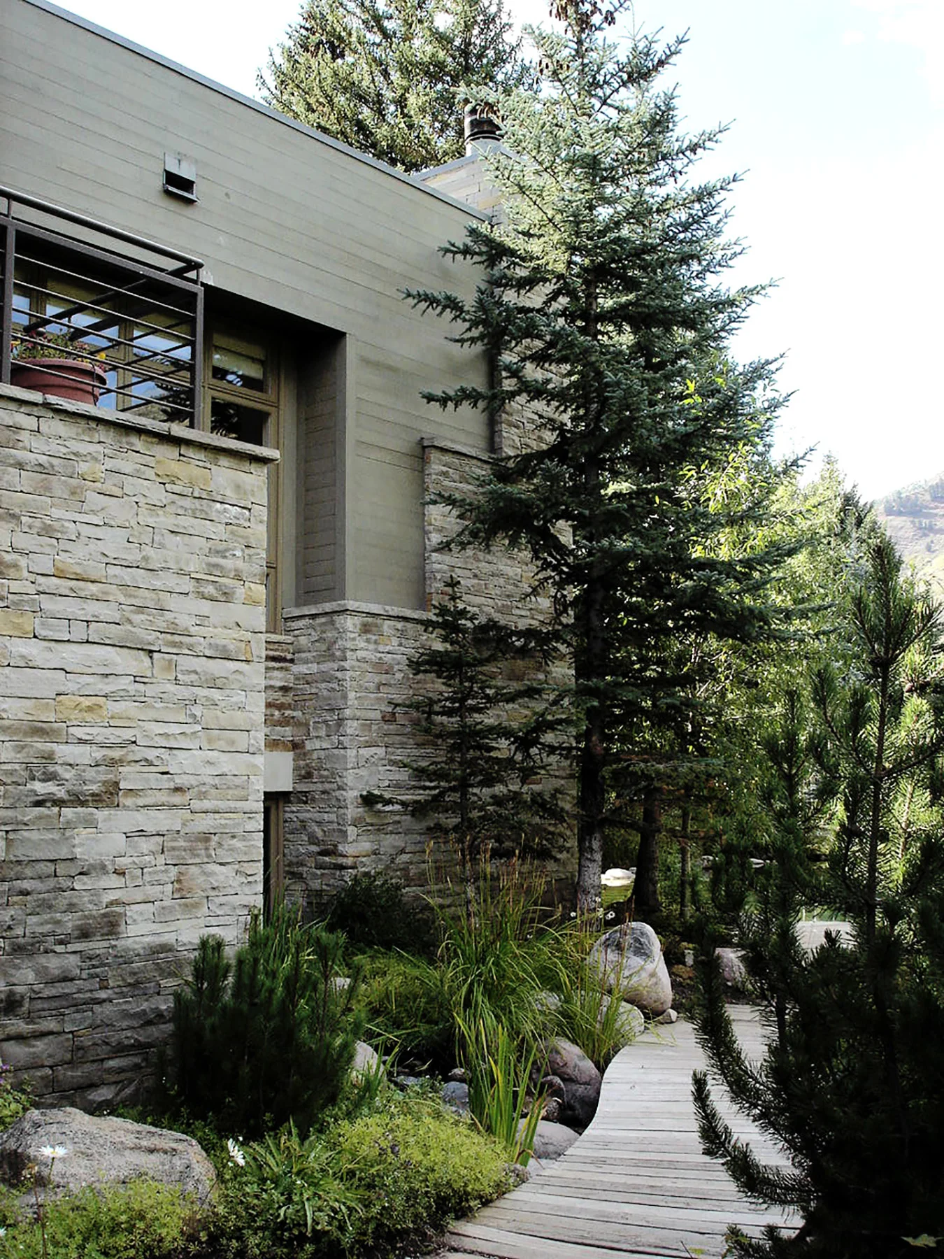 HERMAN - REAR POND 2.jpg