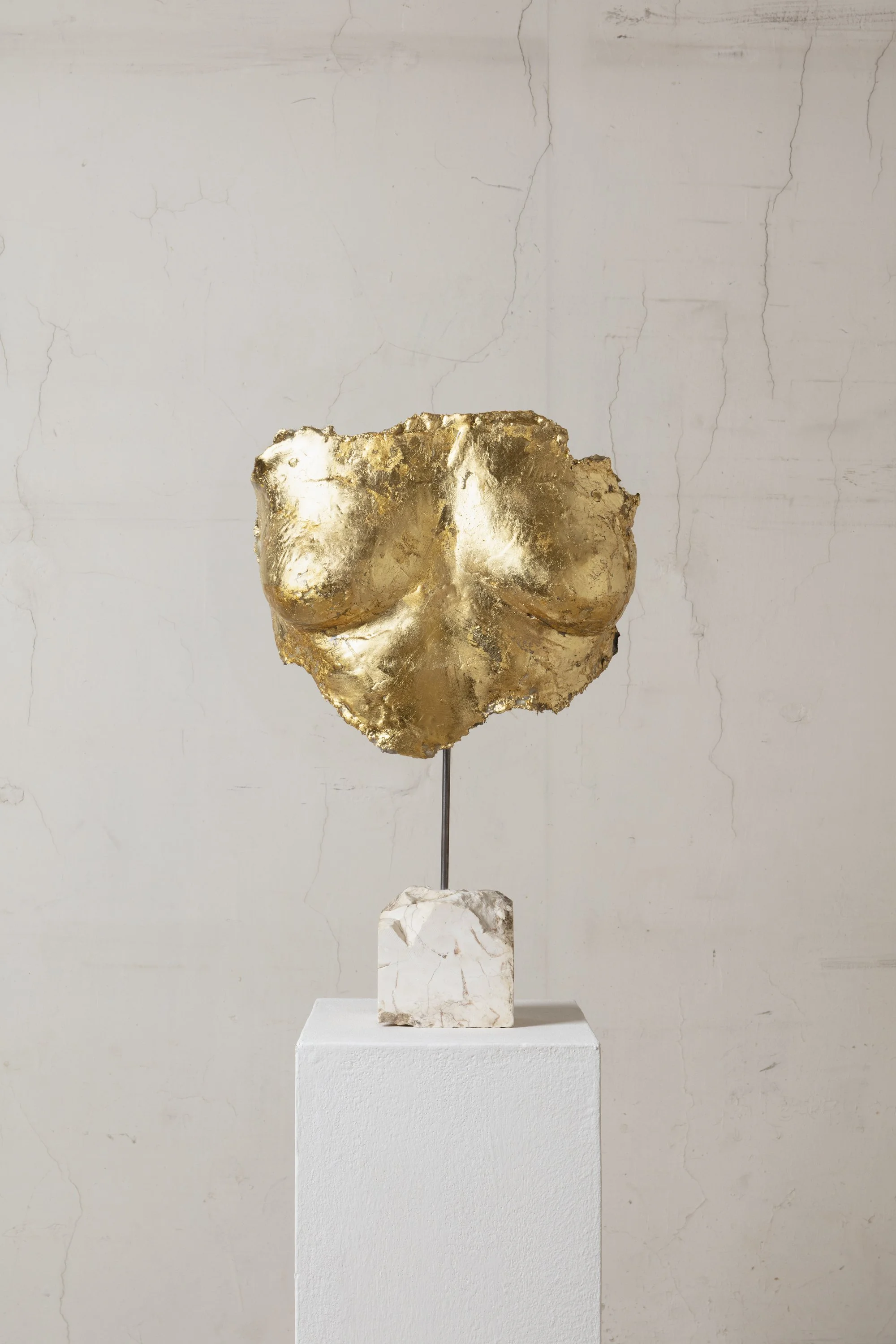 Golden mask series V