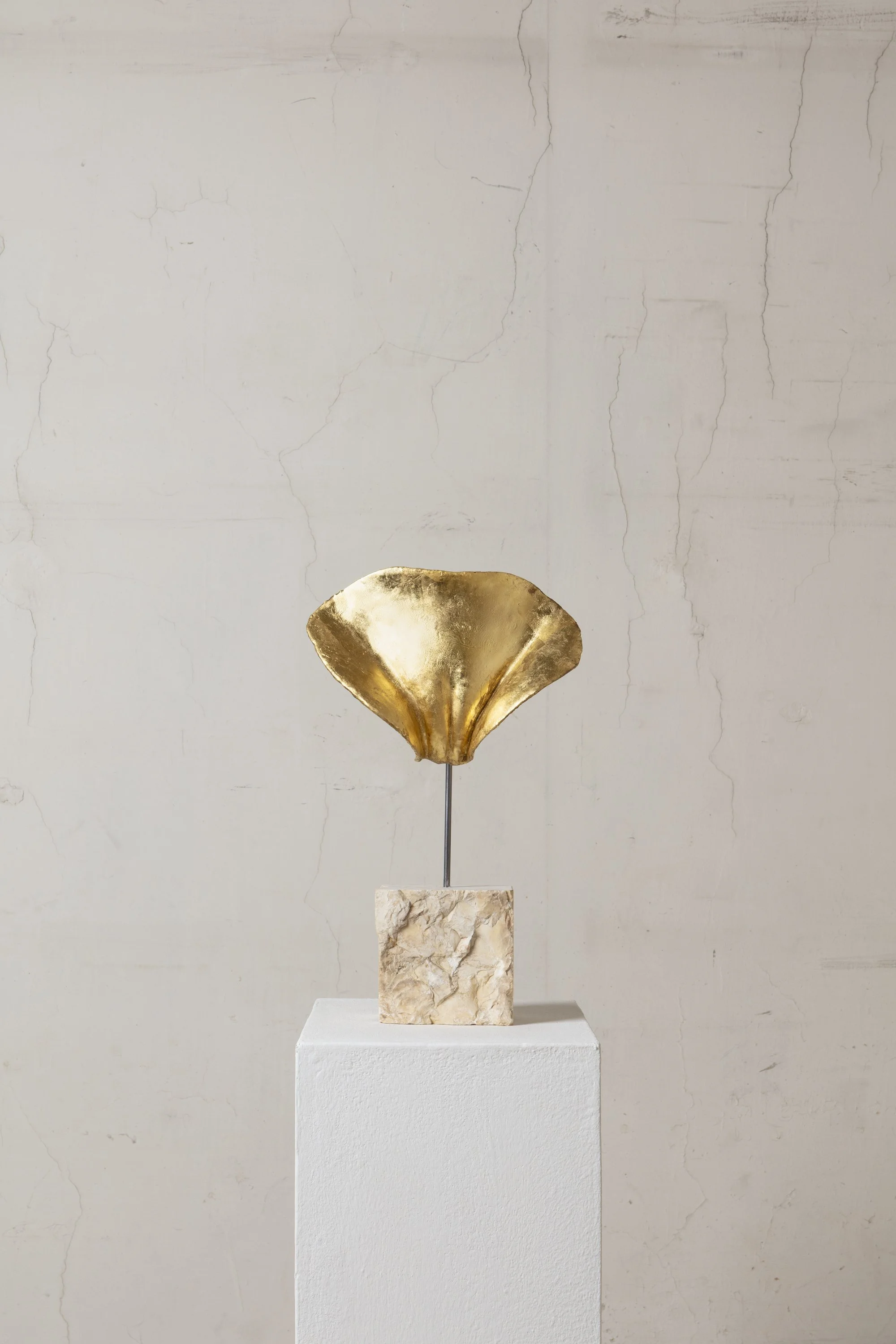 Golden mask series VI