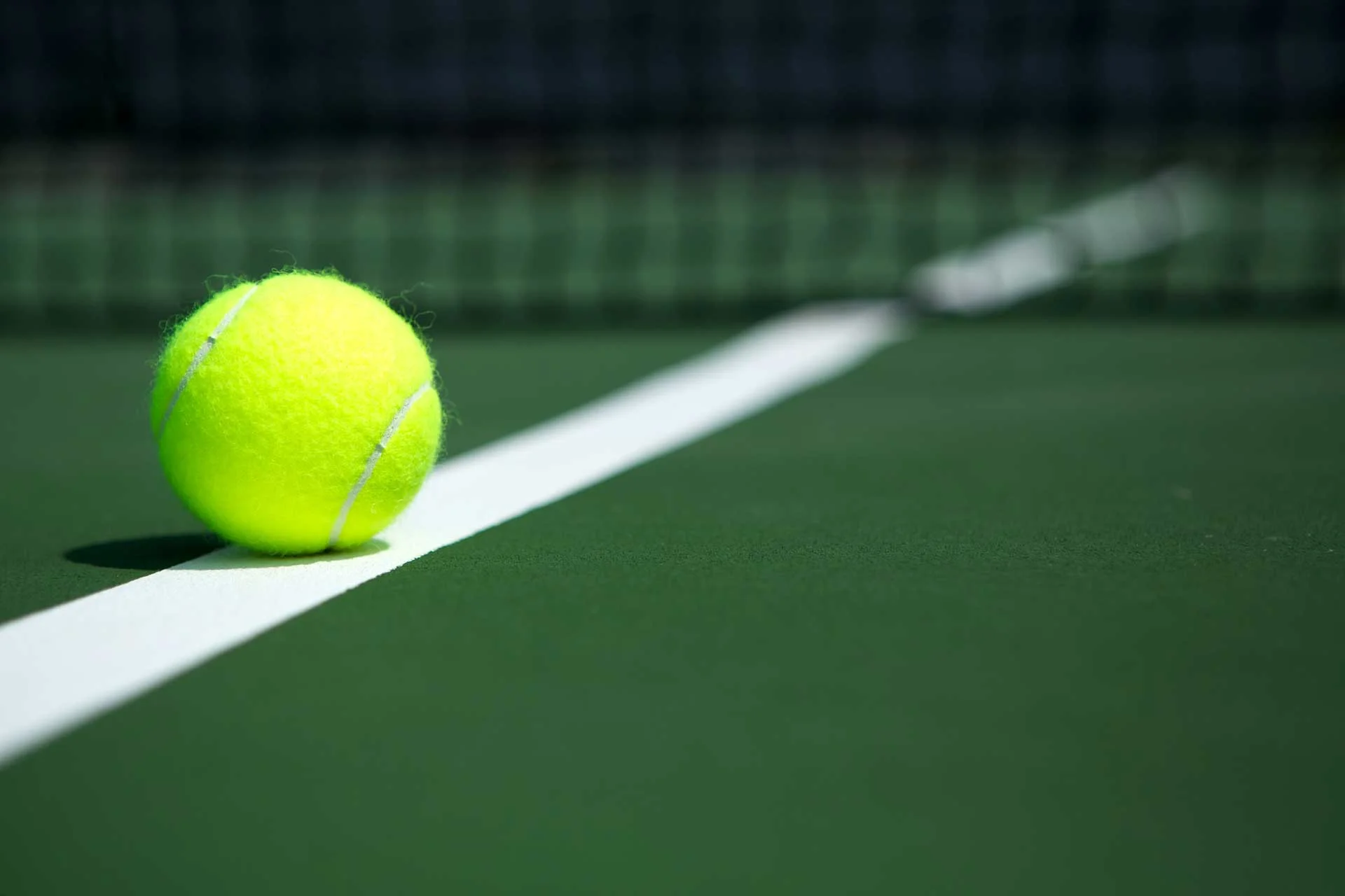 Tennis ball .jpg