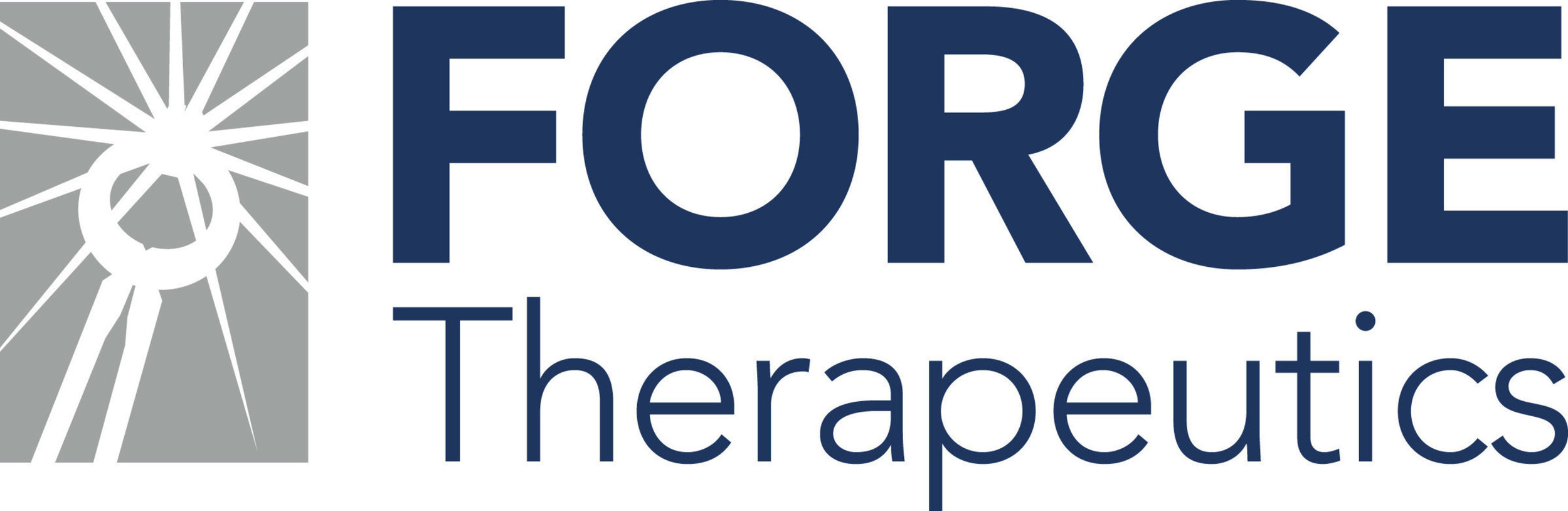 Forge Therapeutics is a biotechnology company developing novel medicines by combining bioinorganic with medicinal chemistry to target metalloenzymes. Metalloenzymes make up over 30% of all known enzymes in nature and are critically important for a wide range of biochemical processes and biological catalysis. Forge has developed a fundamentally new approach for the discovery of metalloenzyme inhibitors by focusing first on the metal in the enzyme active site.