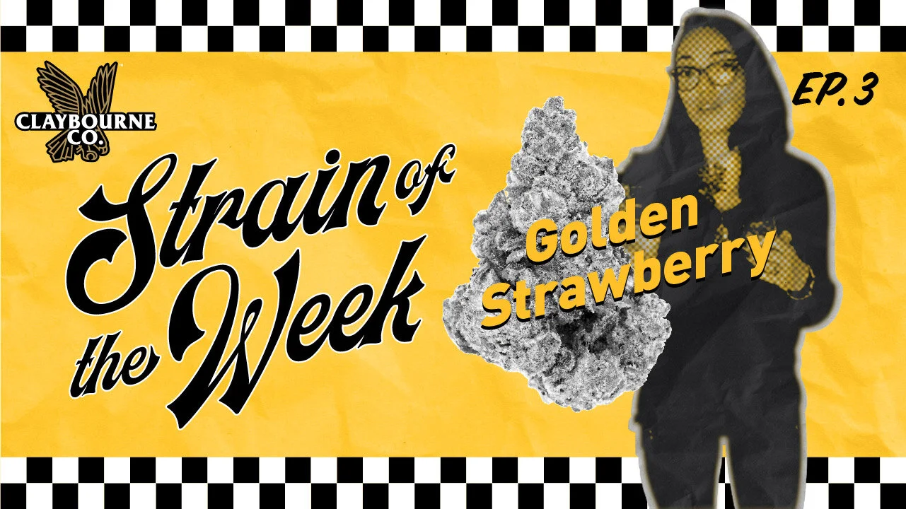 Golden Strawberry - Strain Of The Week Episode 3
