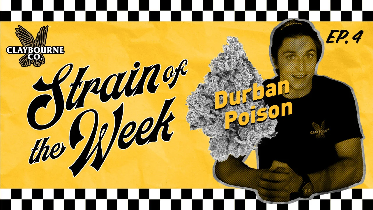 Durban Poison - Strain Of The Week Episode 4