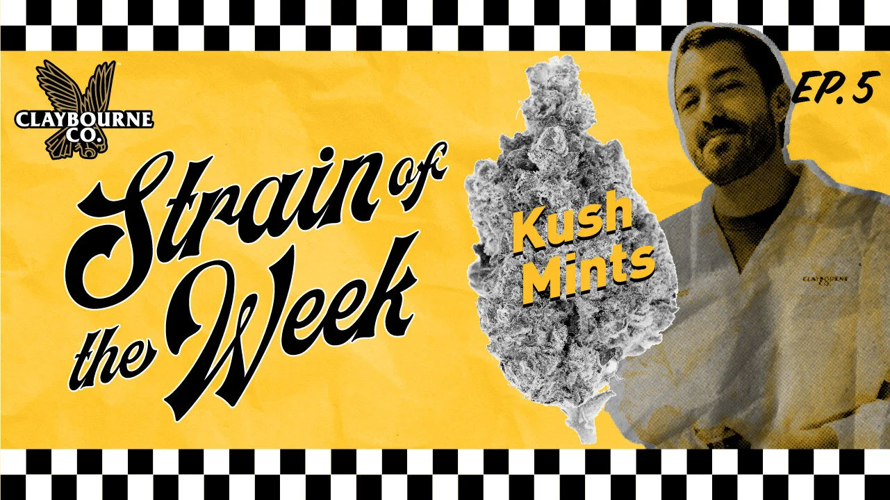 Kush Mints - Strain Of The Week Episode 5