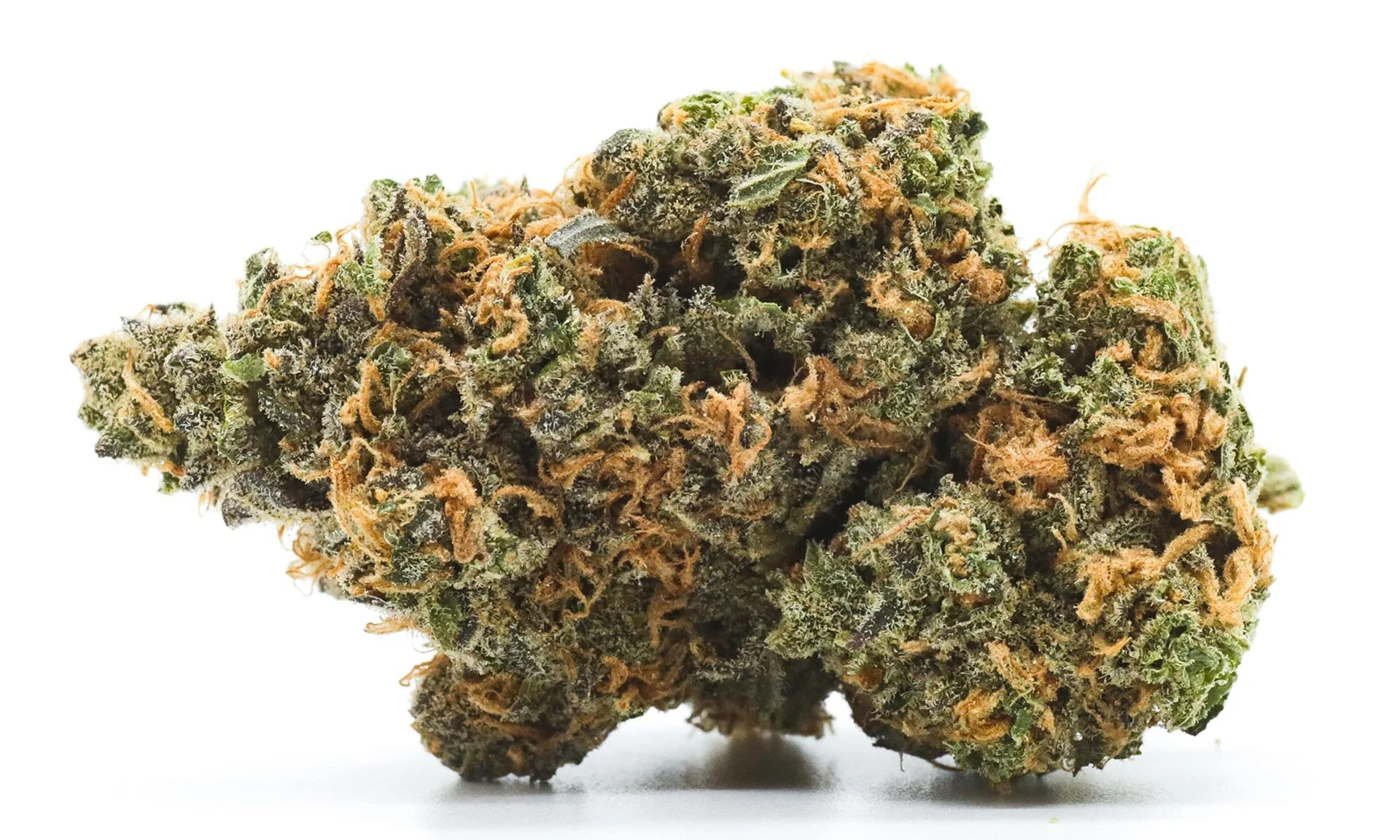 Big Bud Premium Flower Los Angeles Cannabis & Indoor Grow Flower