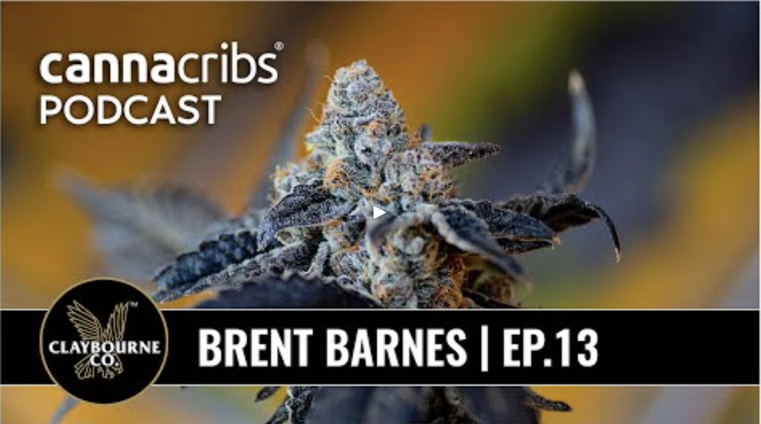 Claybourne Co. x Canna Cribs