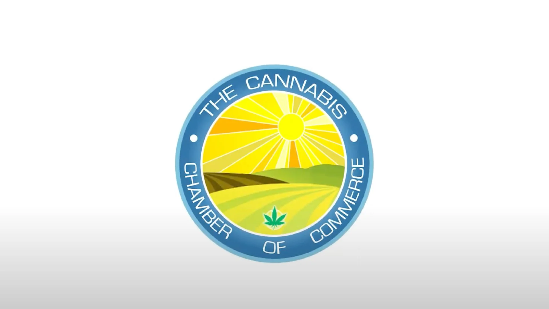 CEO Interview On Building A Successful Flower Brand