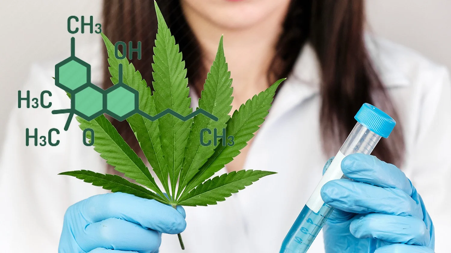 What Are Cannabinoids? Definition, Effects, and Benefits
