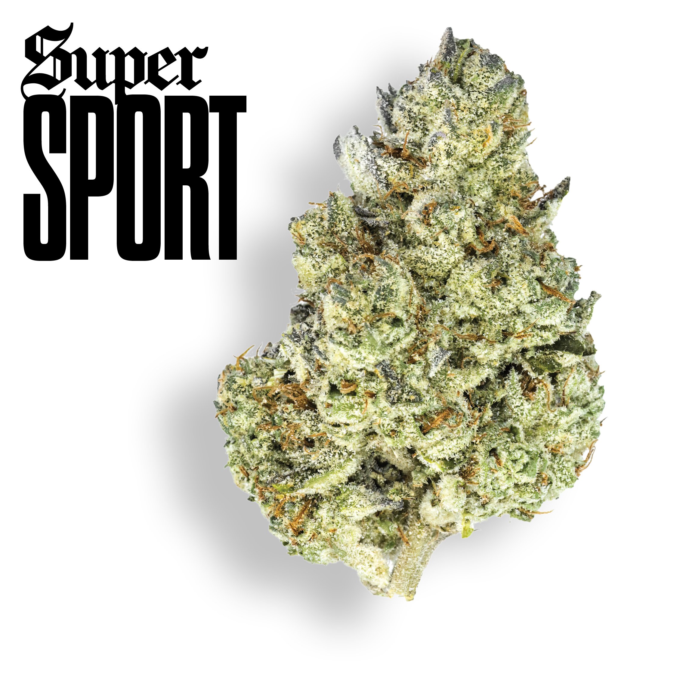 Gold Cuts Super Sport, Certified Bangers. Ultra Premium Flower | Claybourne Co. Cannabis
