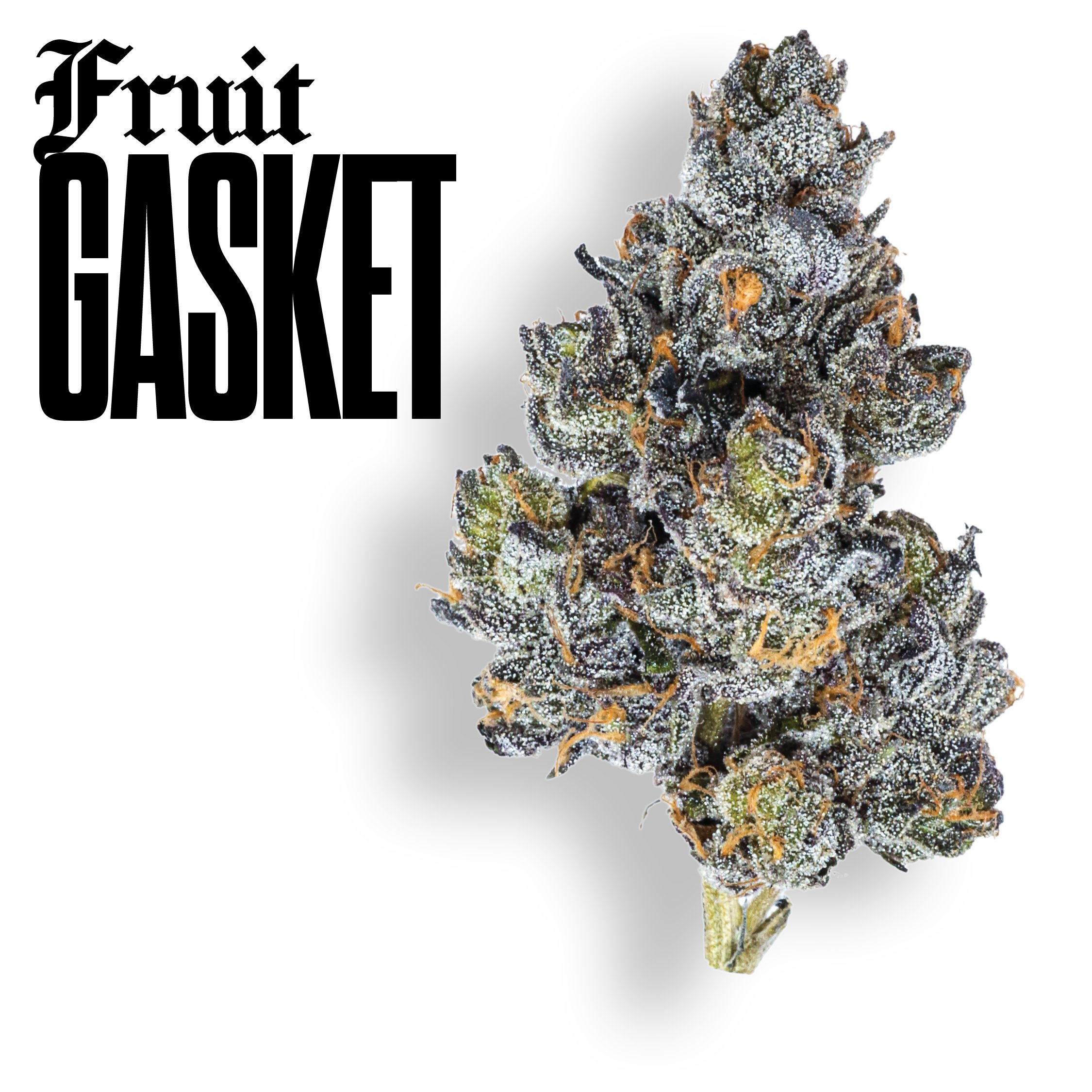 Gold Cuts Fruit Gasket, Certified Bangers. Ultra Premium Flower | Claybourne Co. Cannabis