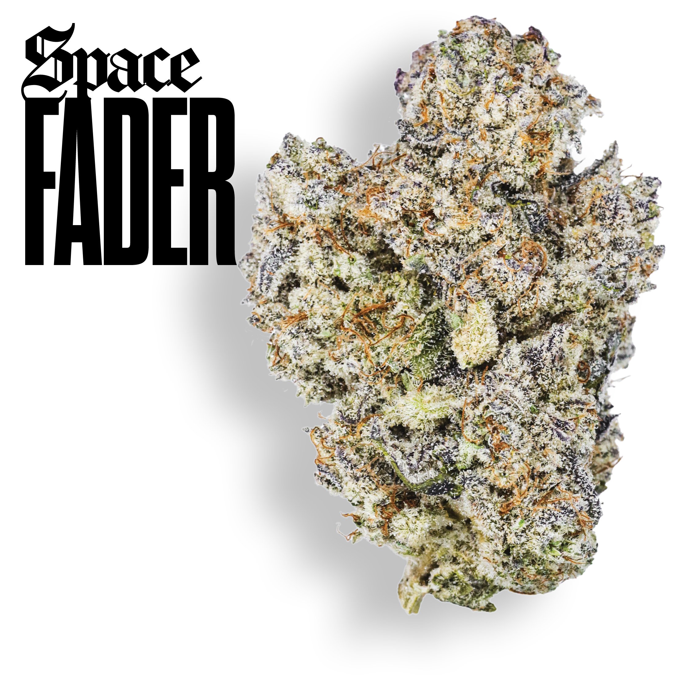 Gold Cuts Space Fader, Certified Bangers. Ultra Premium Flower | Claybourne Co. Cannabis