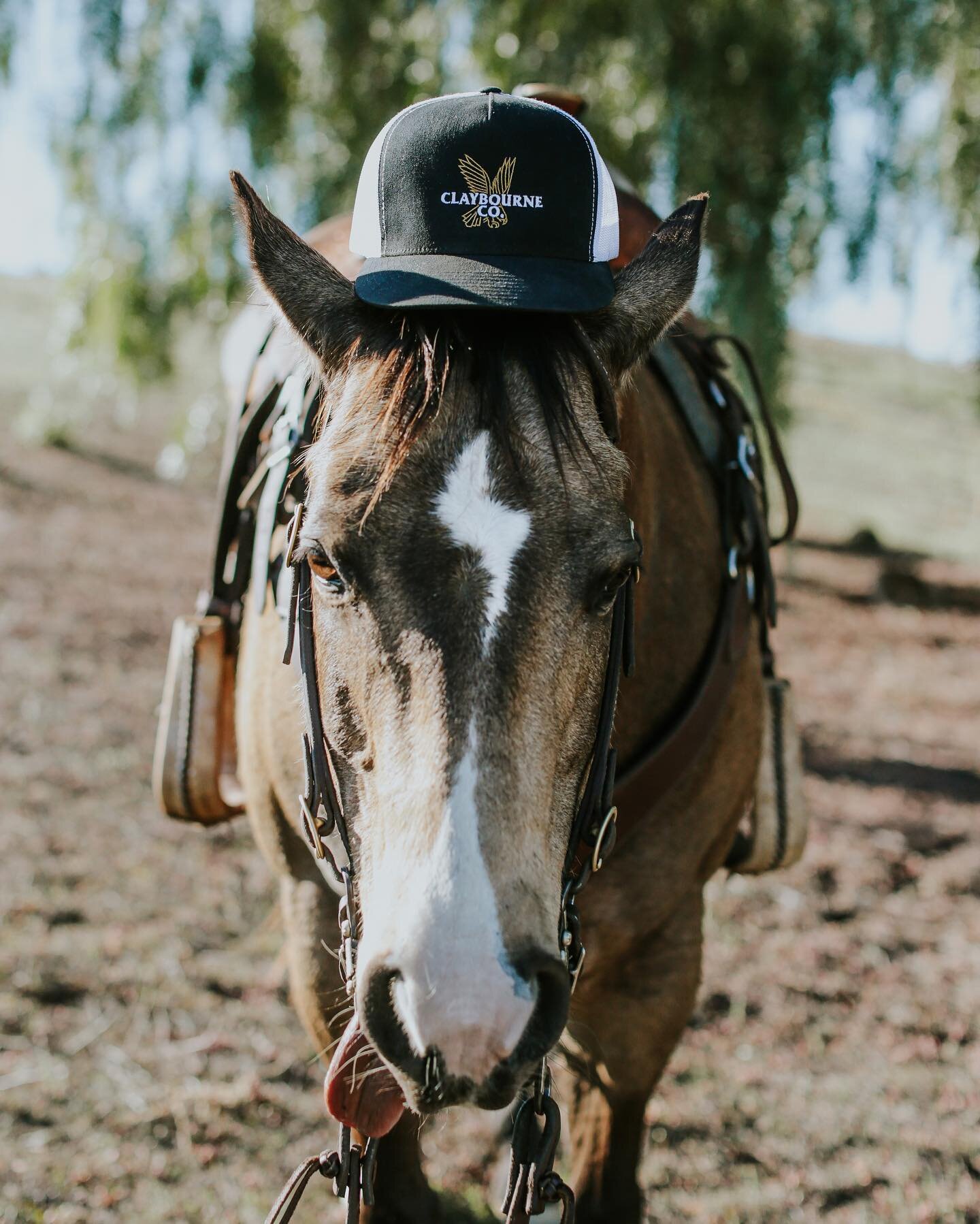 This is how Dolly does ranch dressing. 🛒 Merch on the site! ⚡️