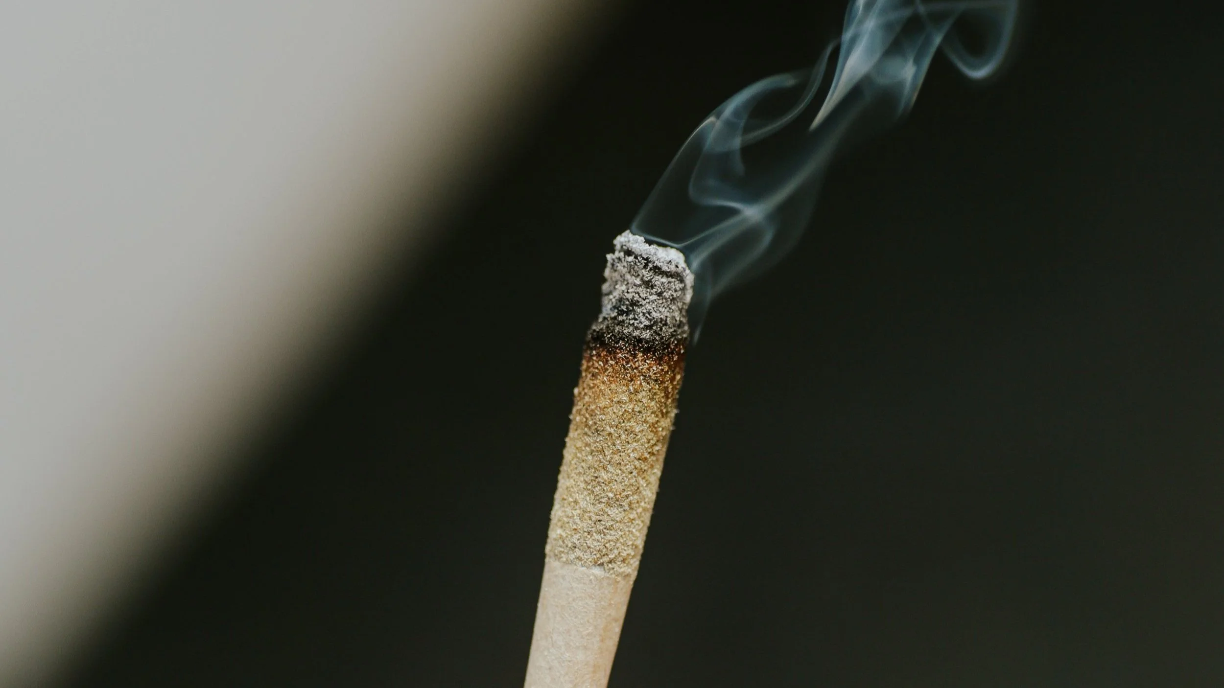 The Truth About White Ash in Cannabis — Claybourne Co. Cannabis