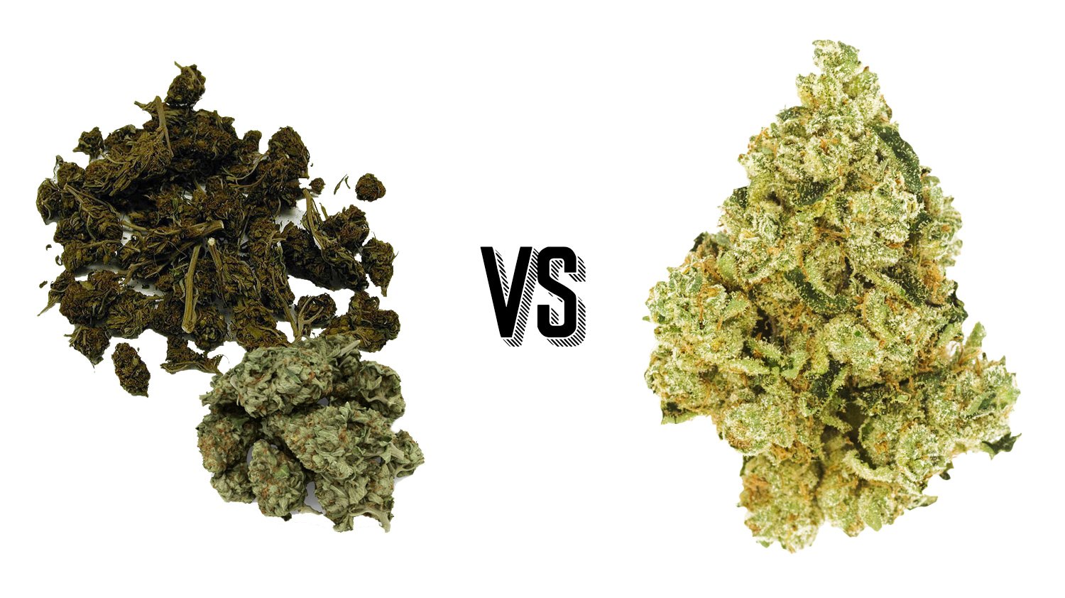 What Is The Difference Between Good Weed Vs Bad Weed? — Claybourne Co.  Cannabis