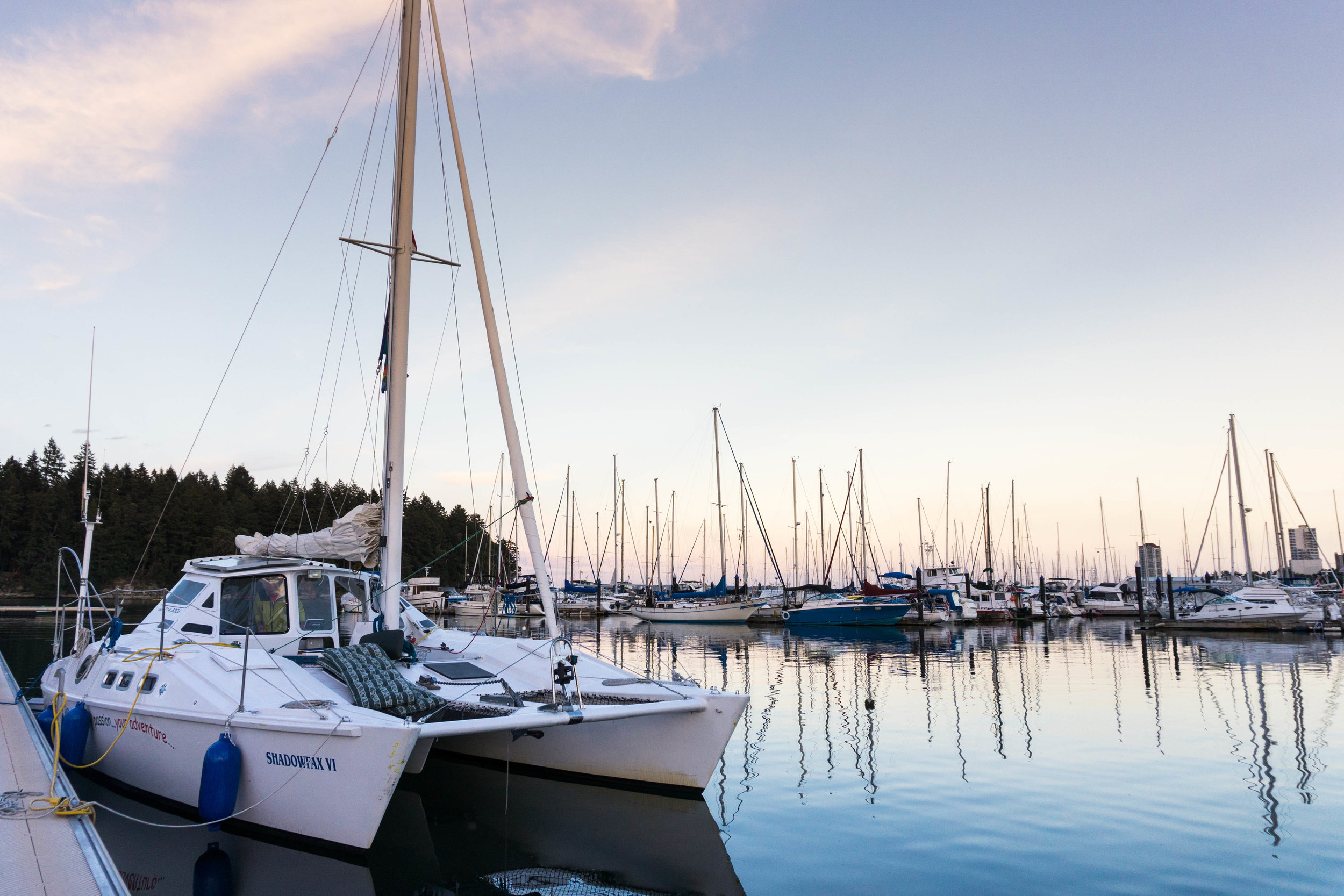 nanaimo-catamaran-dock-anderson-lg.jpg