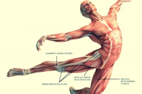 Fascia Image.jpeg
