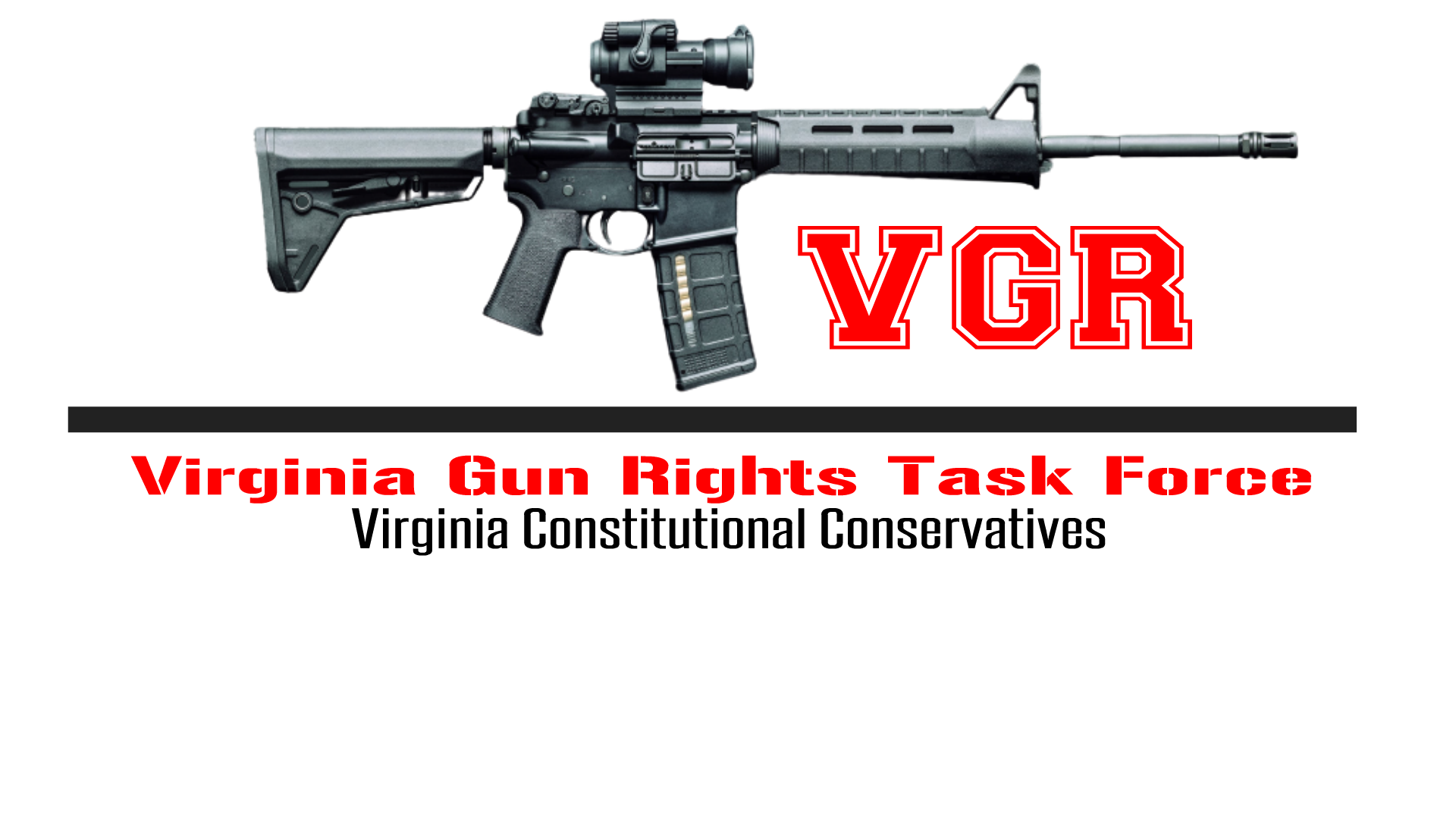 Virginia Gun Rights Virginia Constitutional Conservatives virginia-gun-rights-virginia-constitutional-conservatives