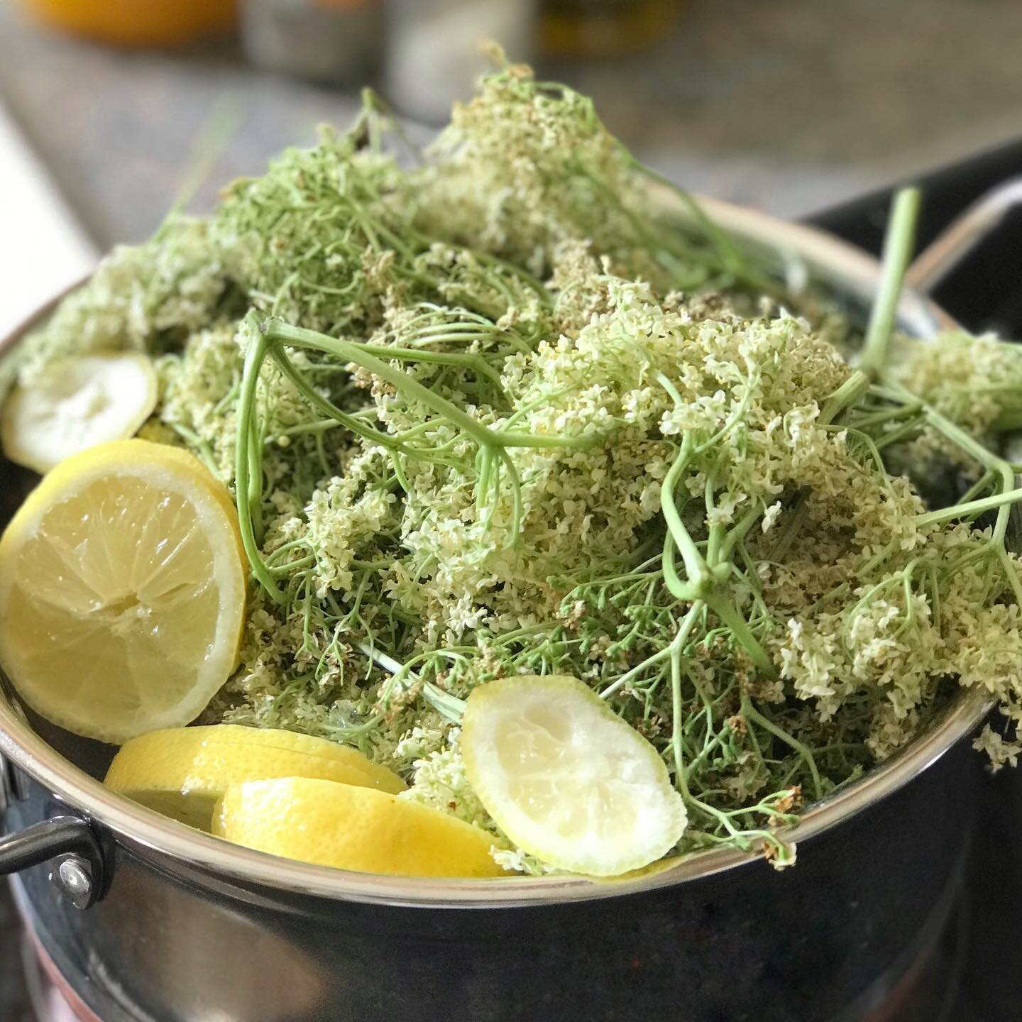 First time foraging and making elderflower cordial and hopefully some elderflower wine 

Inspired by my recent day with @earthlivingfestival and @hempenorganic plus a couple of my foraging inspos @myhappybody and @wildgoosegourmets 

A few people hav