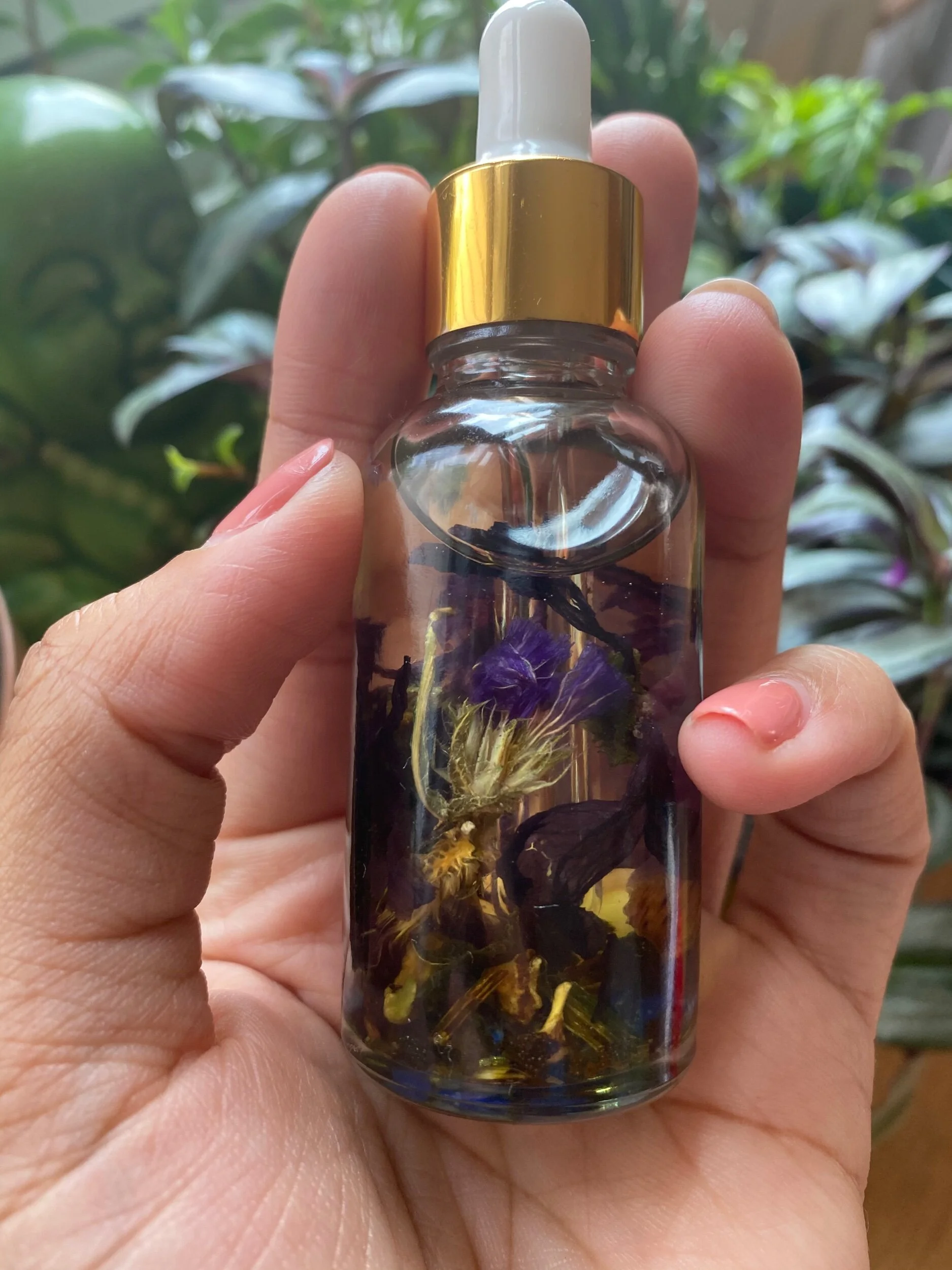 65FF2AA2-2668-4347-BC95-B78176EE13C0