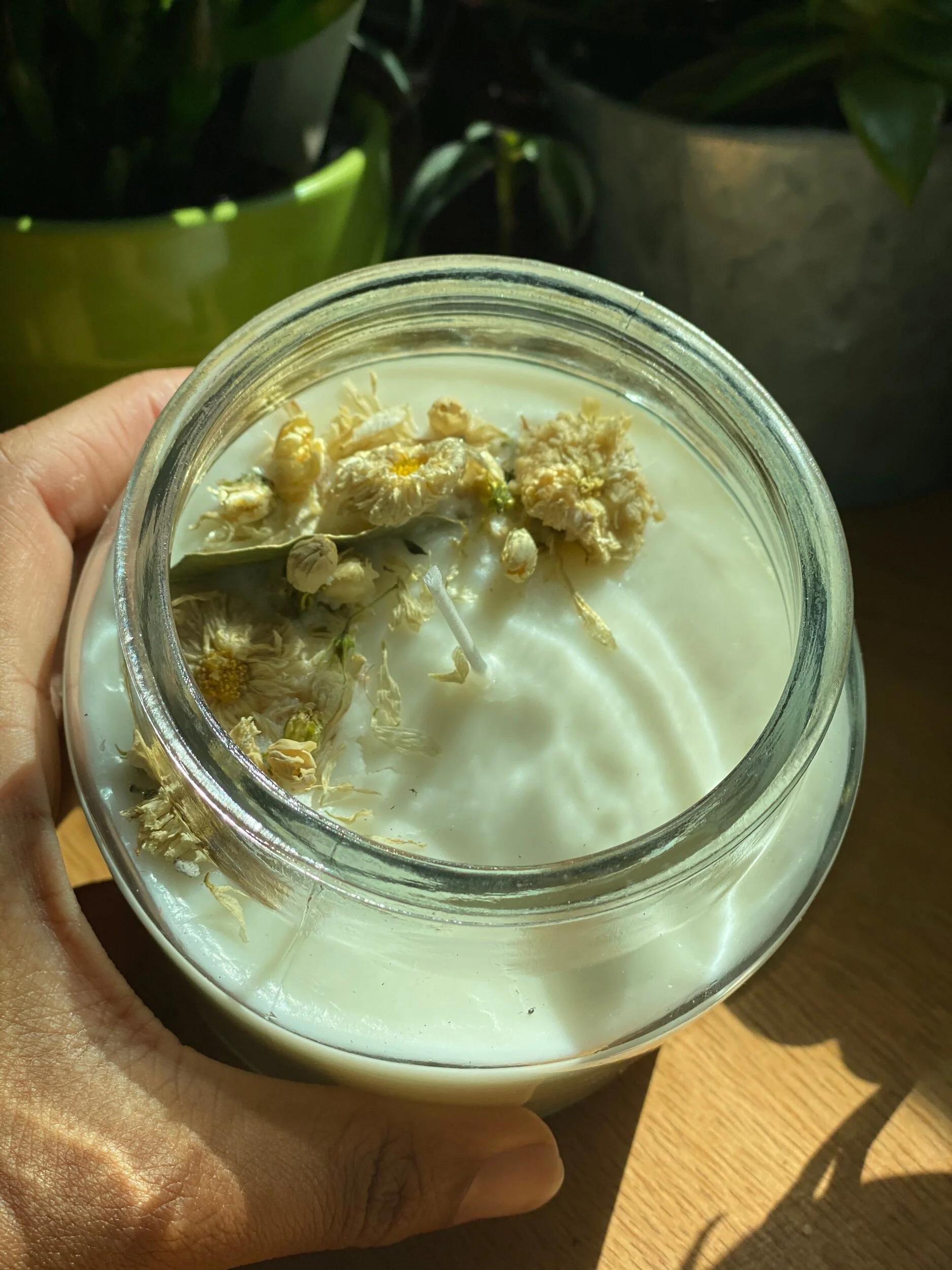 7A1F066E-3CF7-4C83-8BD4-6C48FDC588BE