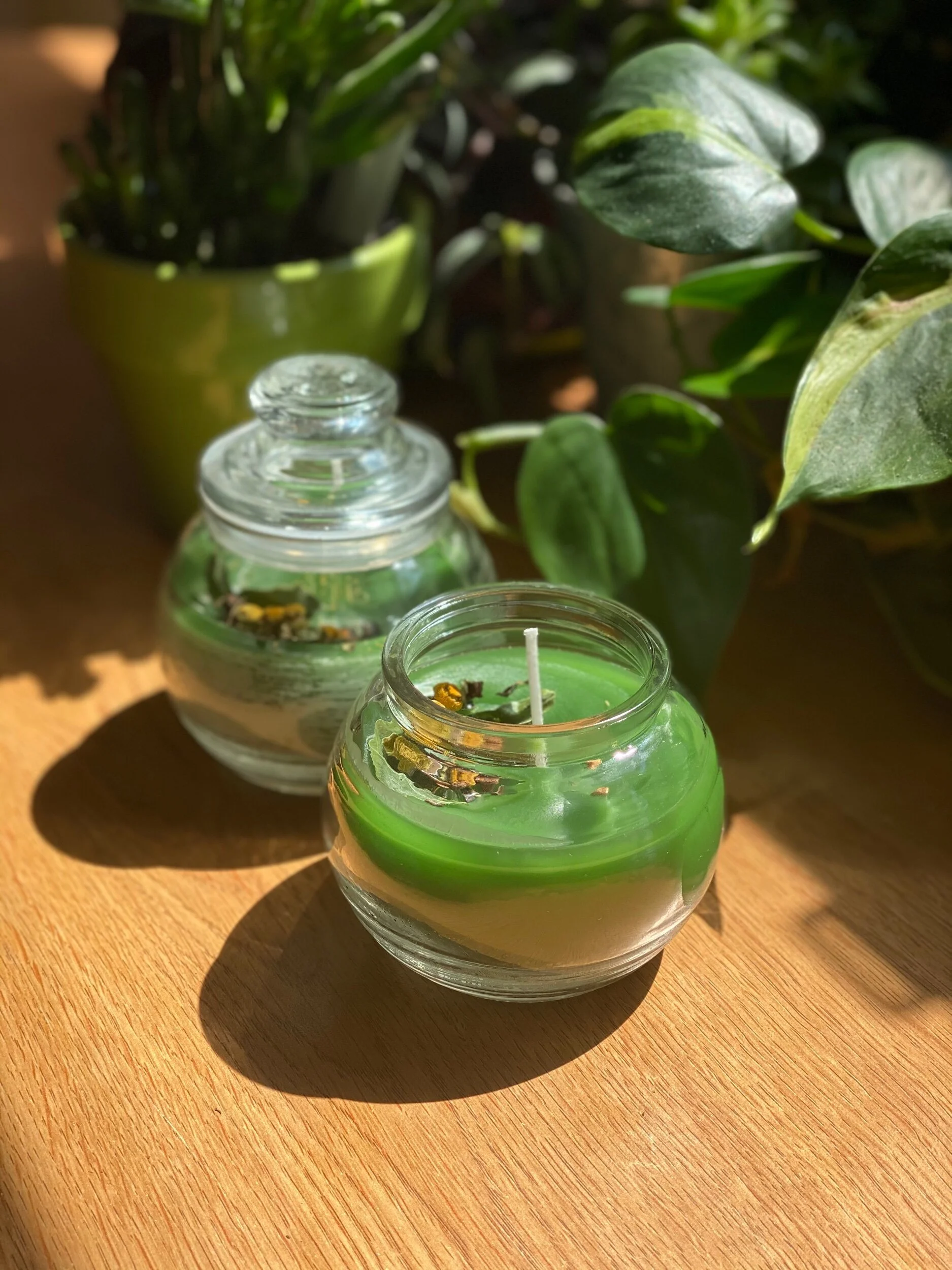 24251FF6-BCB8-48BE-BAB7-D75E47EBB175